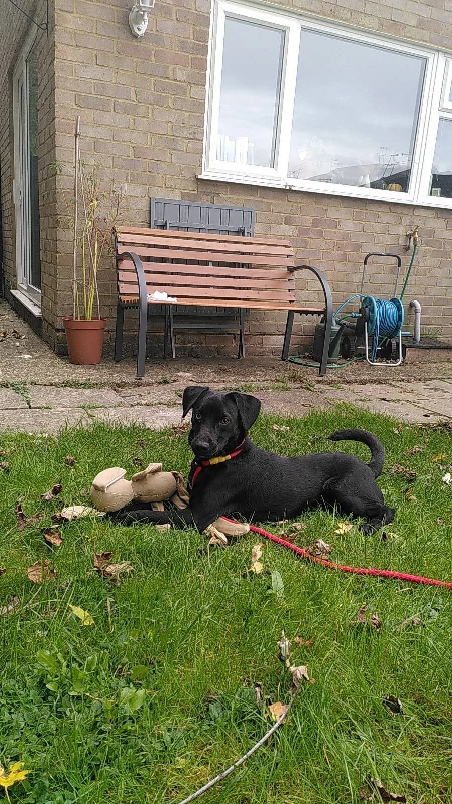 7BA9C5FB-536B-410E-9518-4D0E11EEA4C8