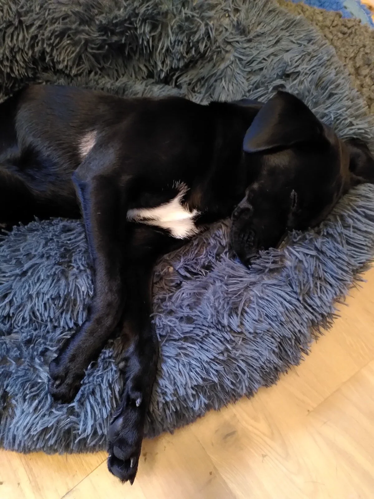 1DBB08BE-CF61-4890-8584-B6C43FC70B81