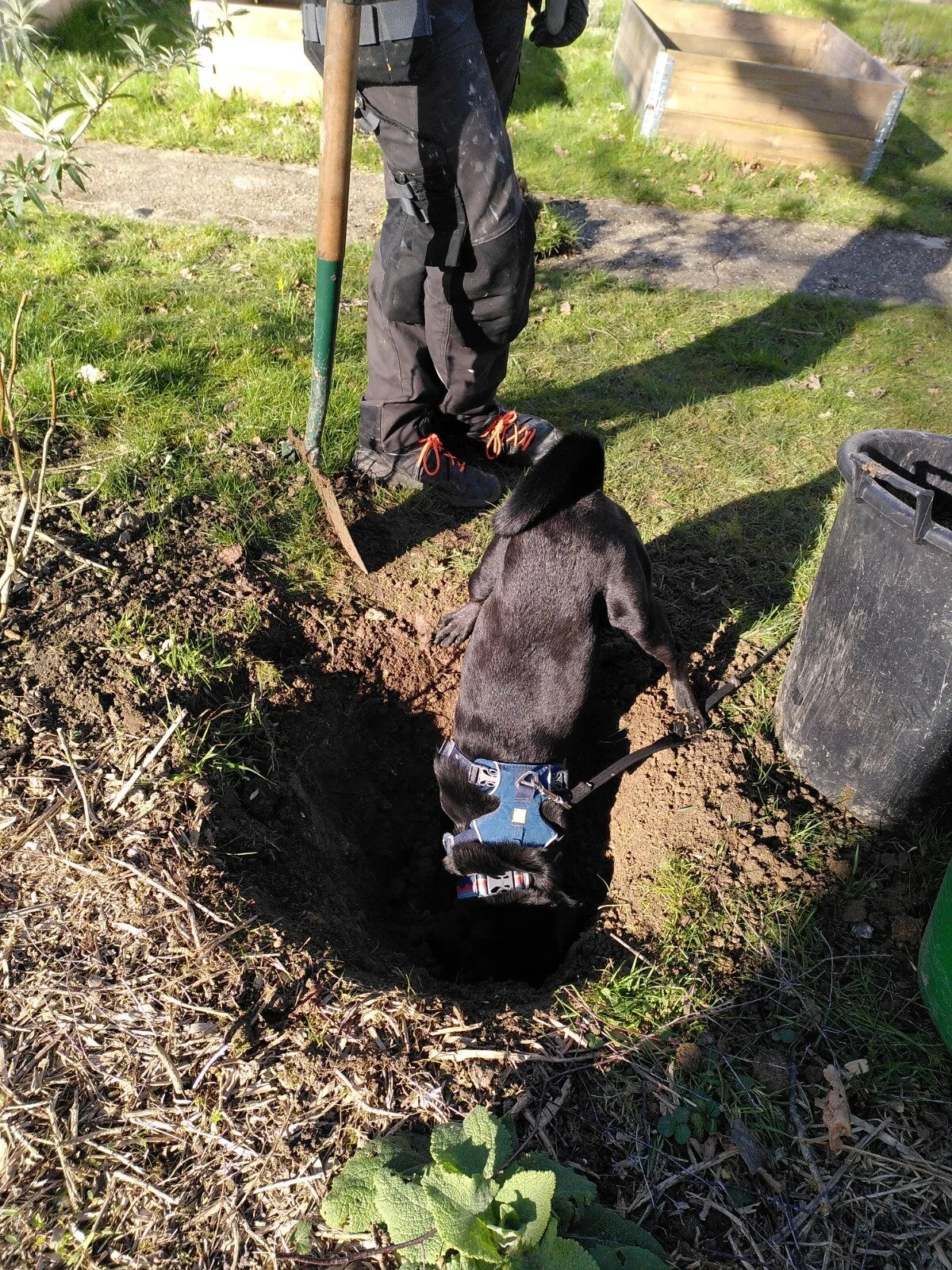 46E3D8C4-06A7-4FED-9295-2EED75086B1A