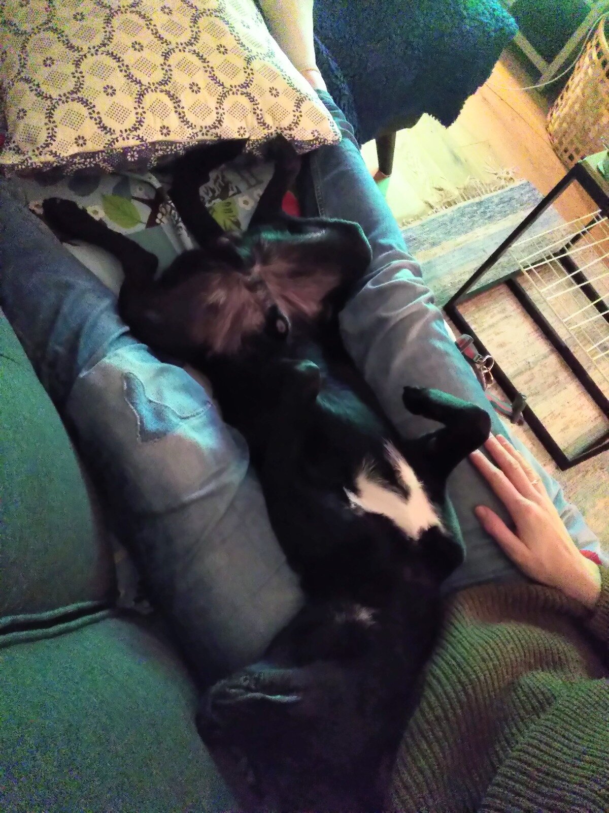 50FF808C-FD49-419A-864D-8E4AC0D10AEE