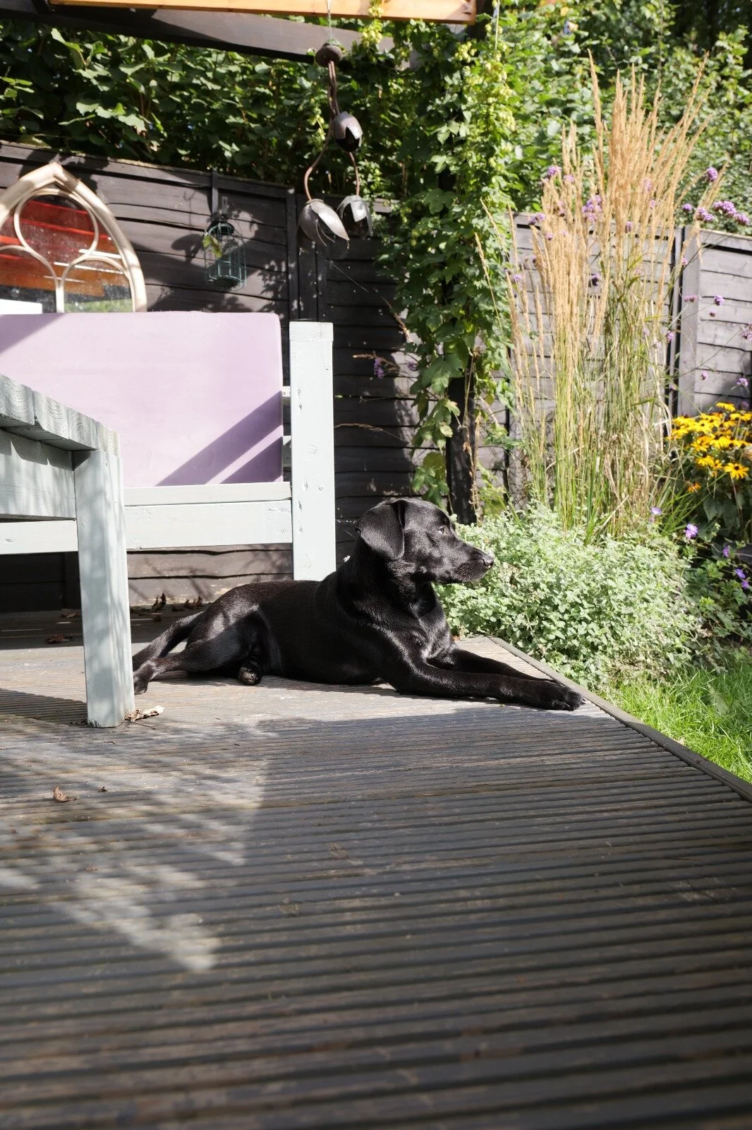 E29B3763-83C7-474D-9E83-F4305BACC047