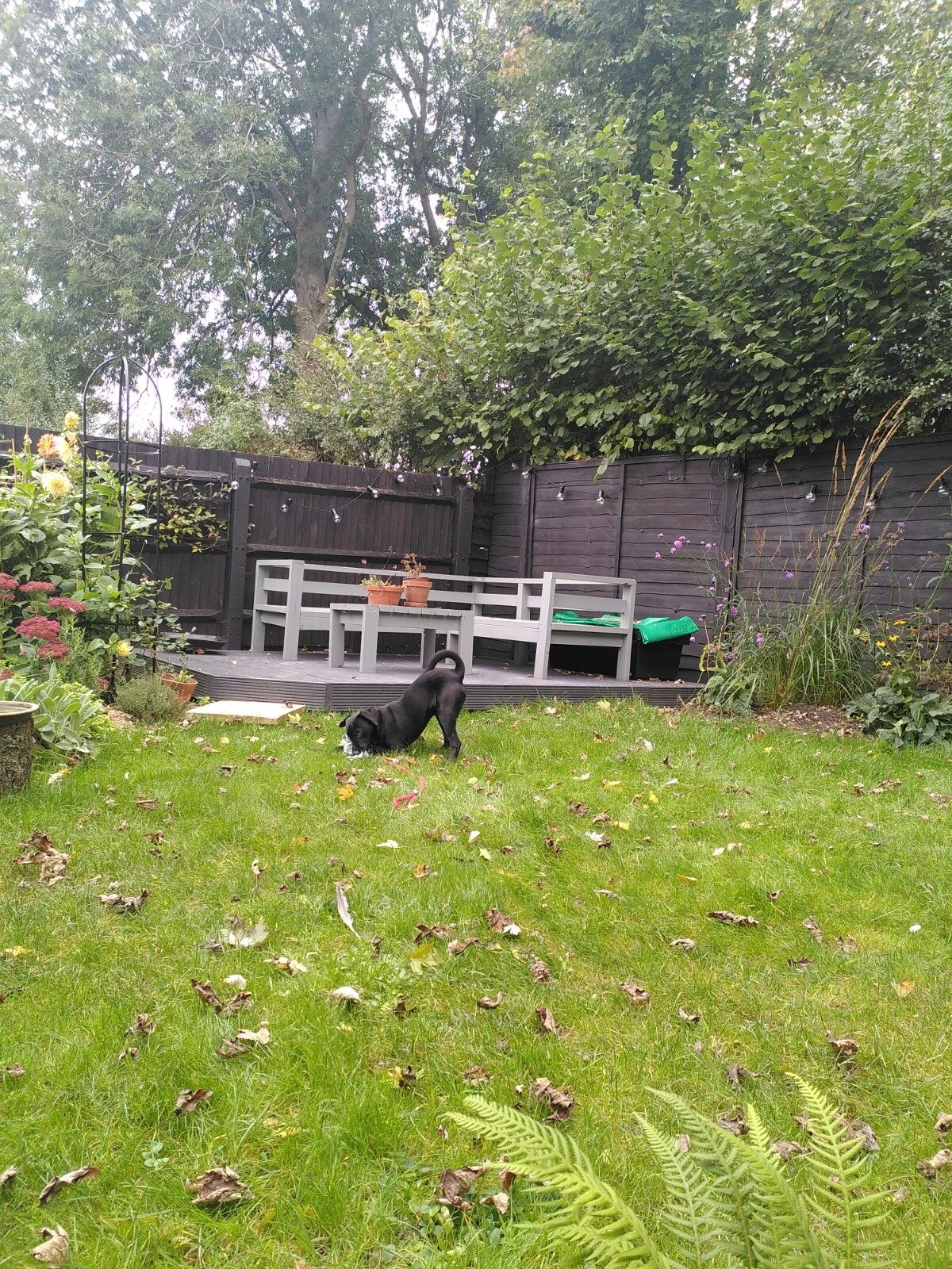 56F2A80C-4AE7-4799-A331-1F3AC7540B34