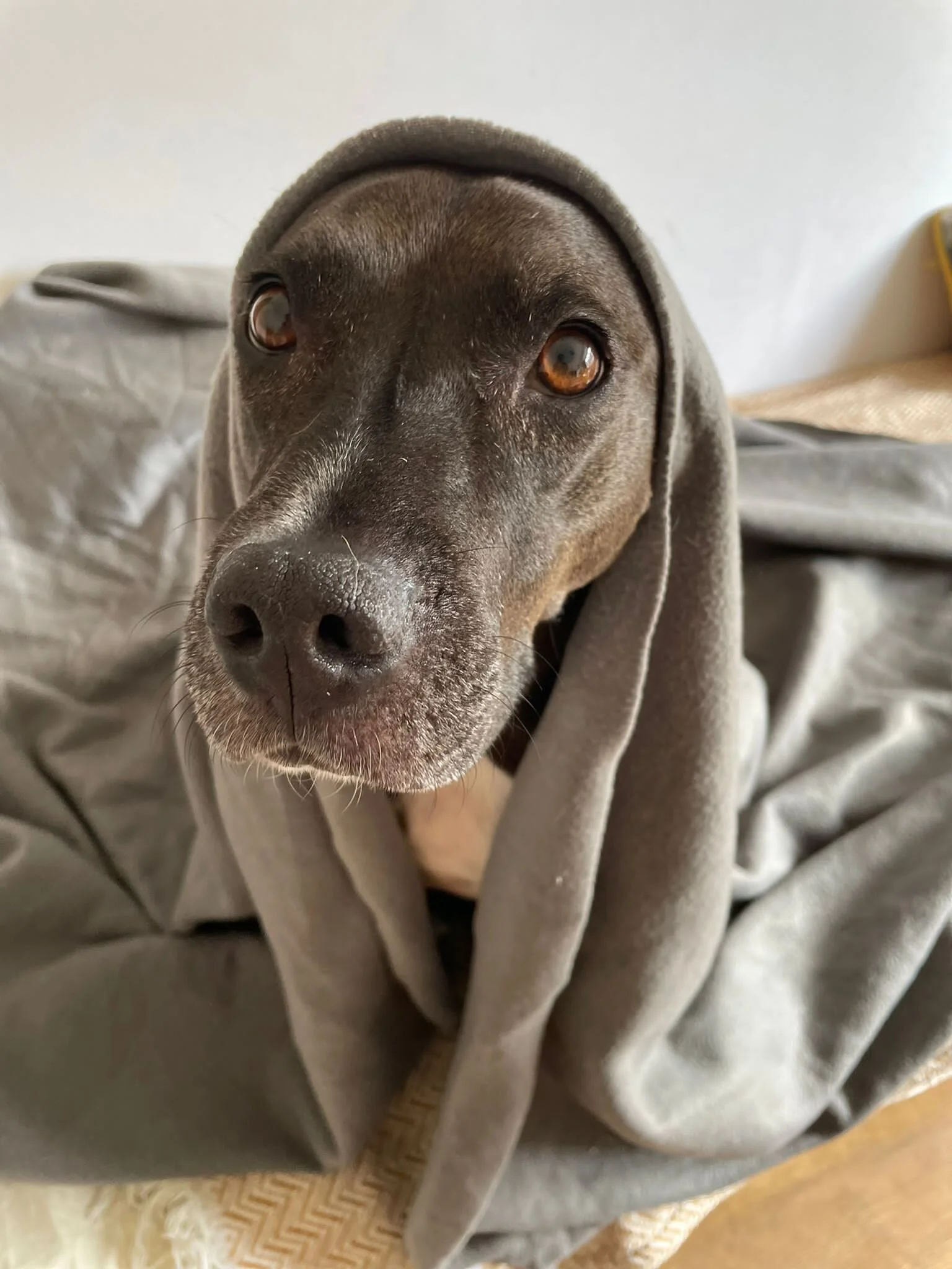 4A89D2D9-C320-4416-9E26-FF33BD2B1941