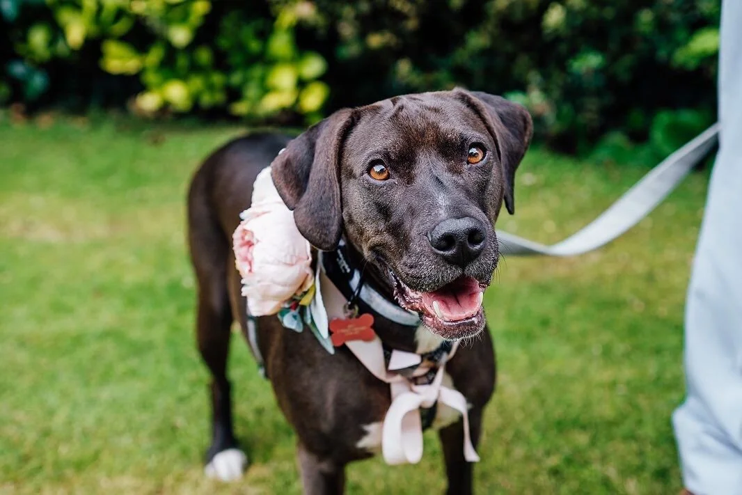 097EF301-65A4-4533-9335-F30519783E22