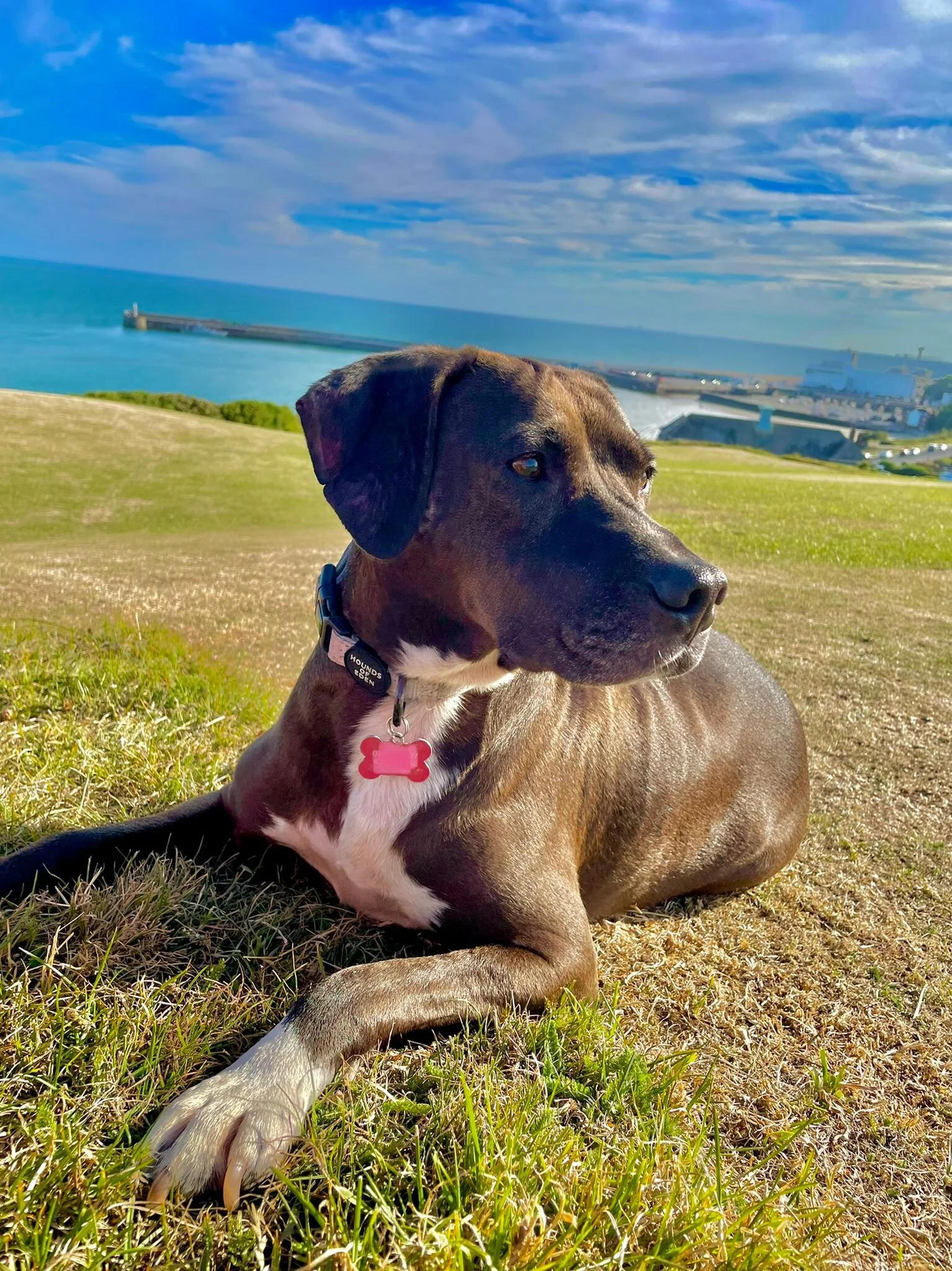 DD876CCB-47ED-4B73-86D2-899F9EB702B9