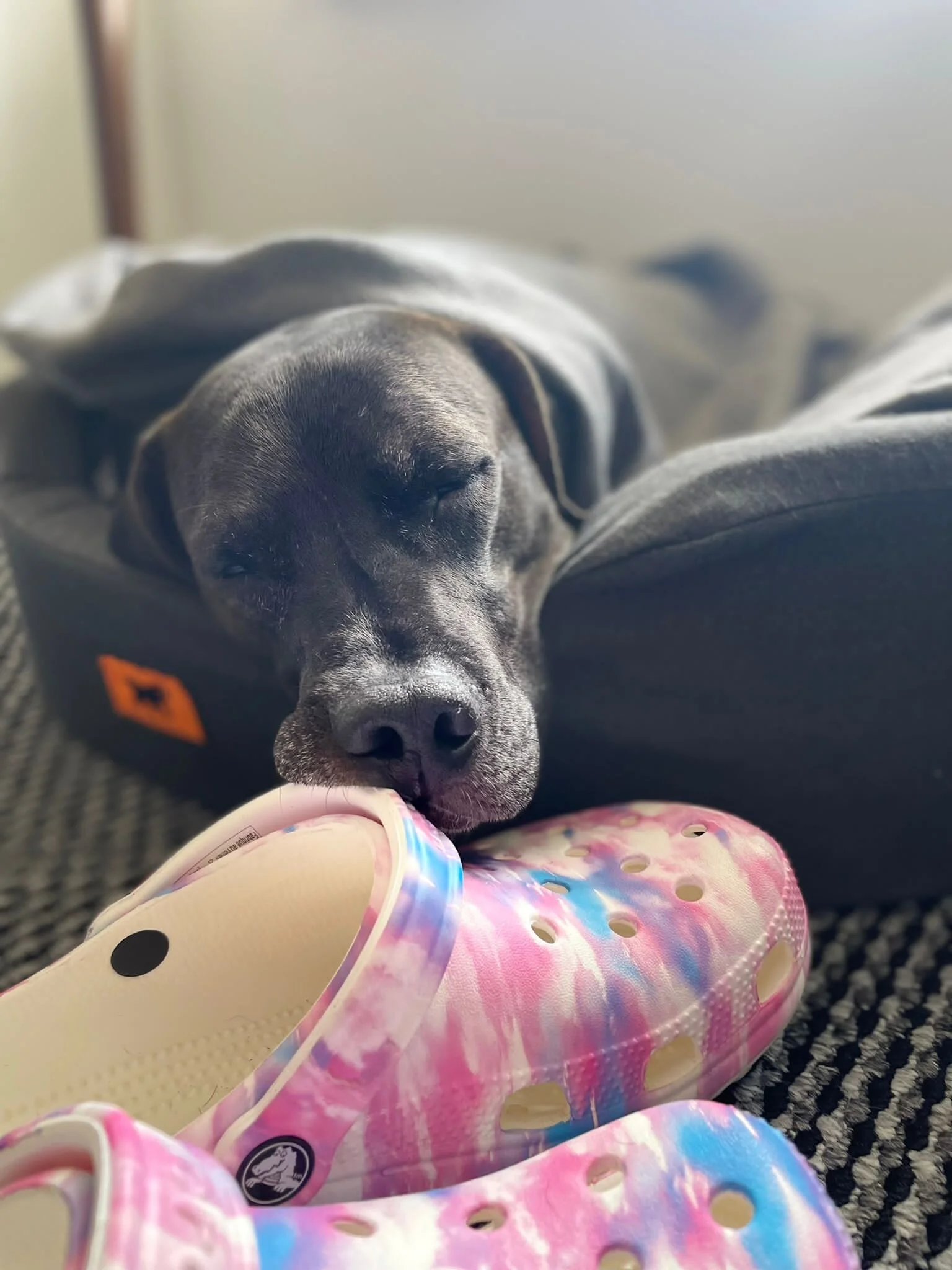 EE0D5FB7-71A8-4254-8444-5C2C6374EE32