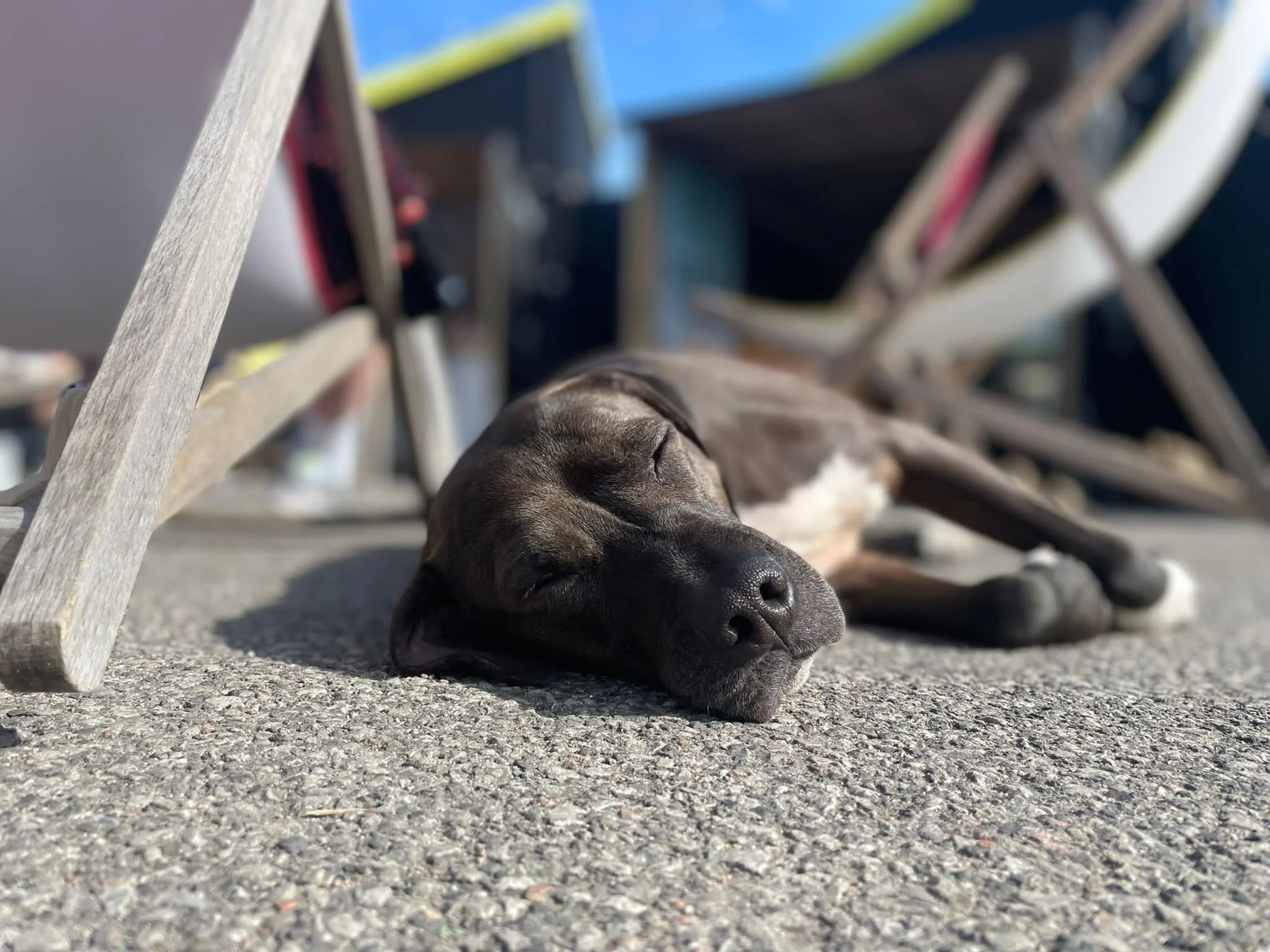 26653B8C-39CD-4275-93B0-63D910656805