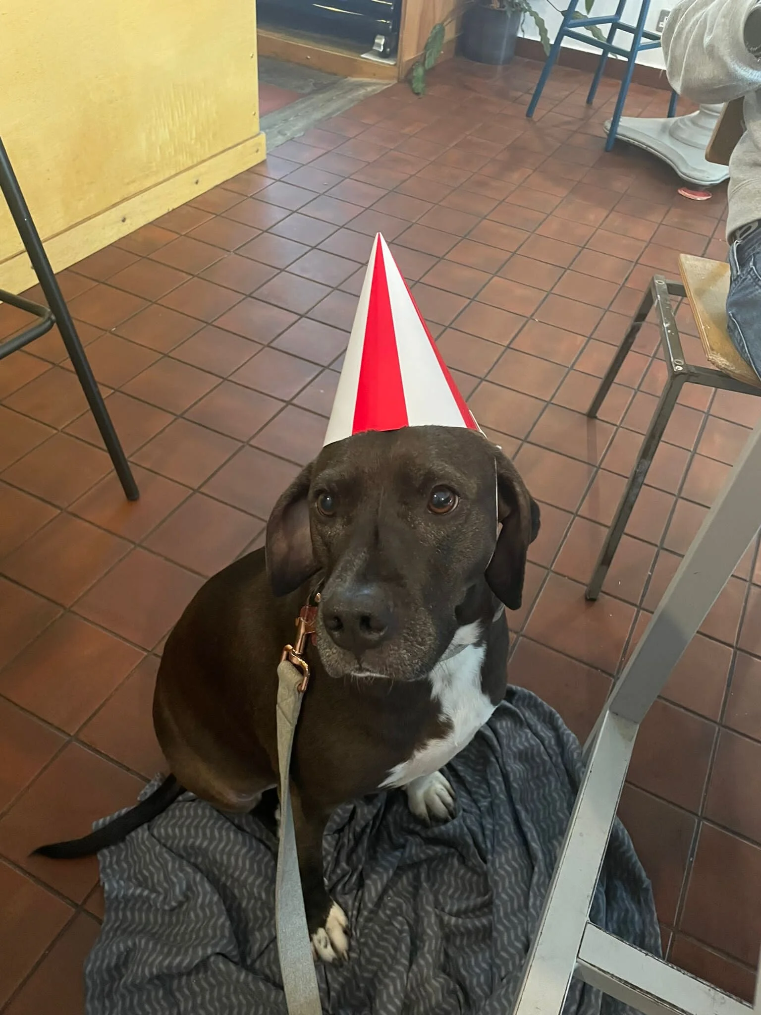 C64CFD71-CA21-45F4-B801-49475DDB0FA9