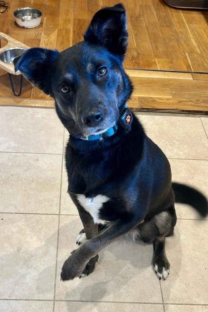 E890F510-93F4-4F4A-86EC-2C016D8FBB98