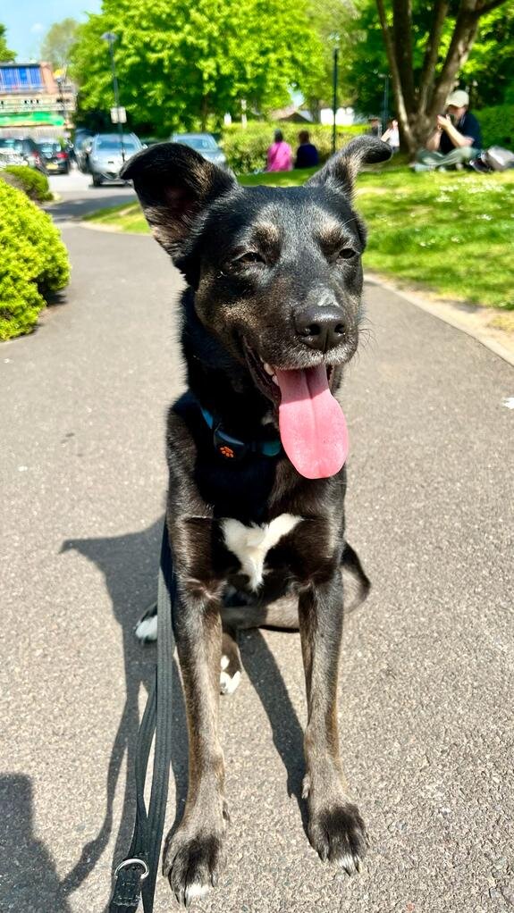 29525D80-2274-432B-9434-DD321423D06D