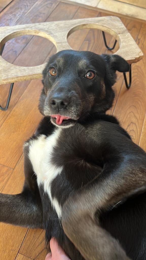 DEB7FEC8-EEF1-4155-A409-EE4638453969