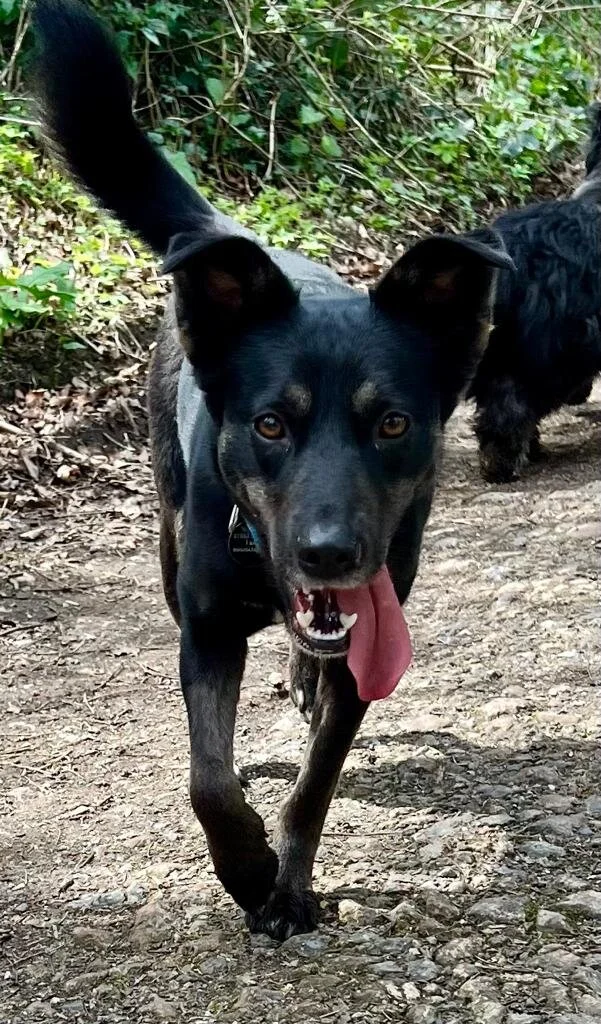 8178BEB8-CCE1-468C-B27B-518255E72EE2