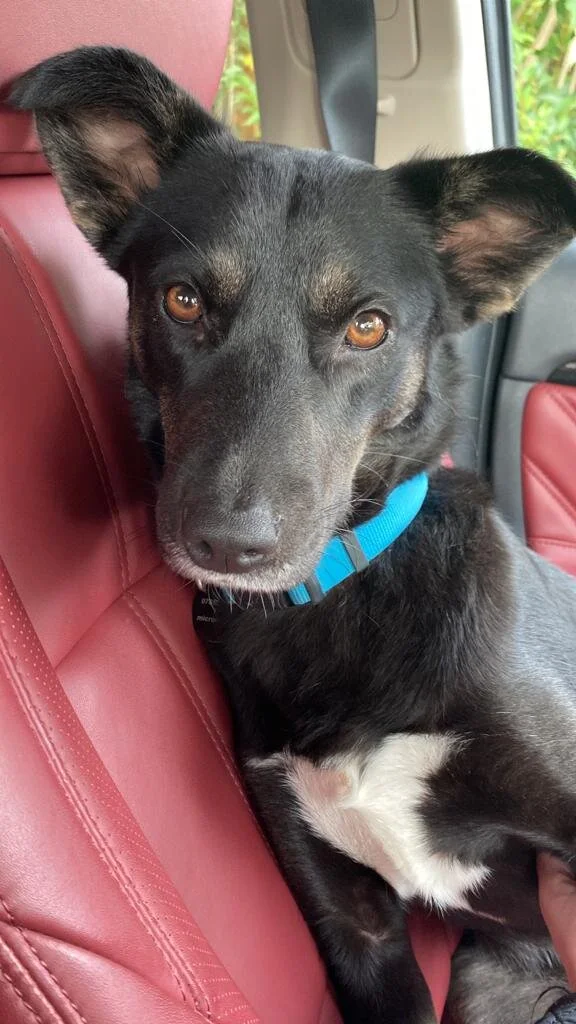 FFEADA46-747C-4F83-ACF7-2EEAF64DCC8B