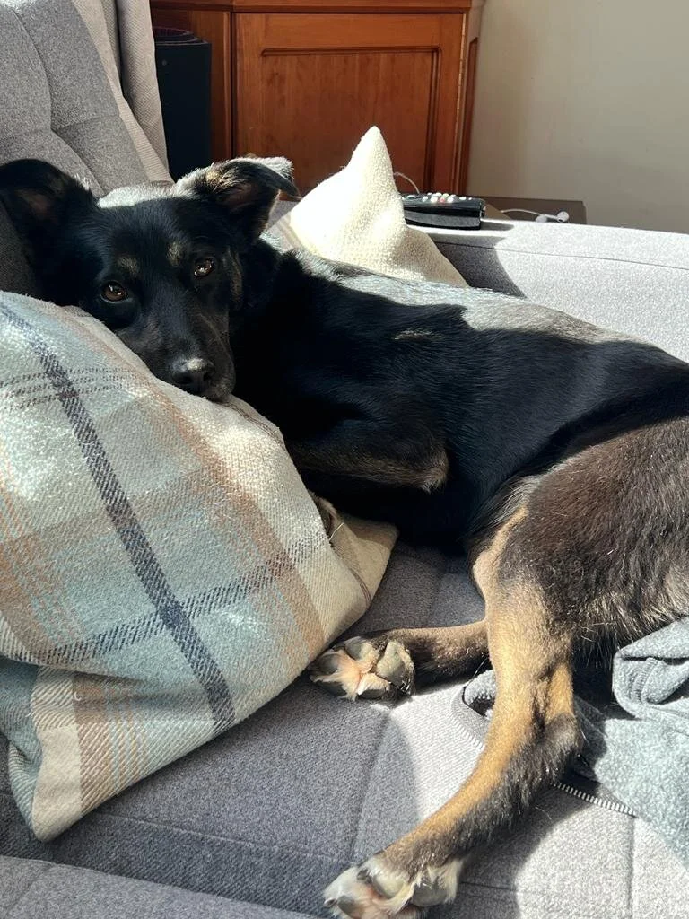 09B82D5F-9031-4D23-A8A7-72ADF84AFCC7