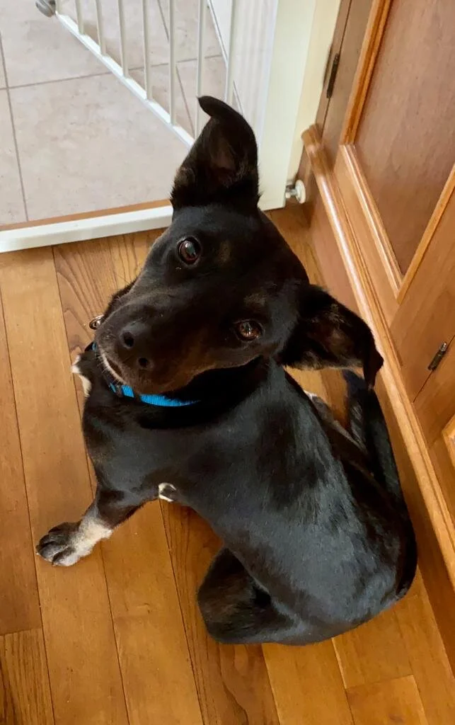 AFE16361-B2D9-4164-B497-0C0B94C4AFD8