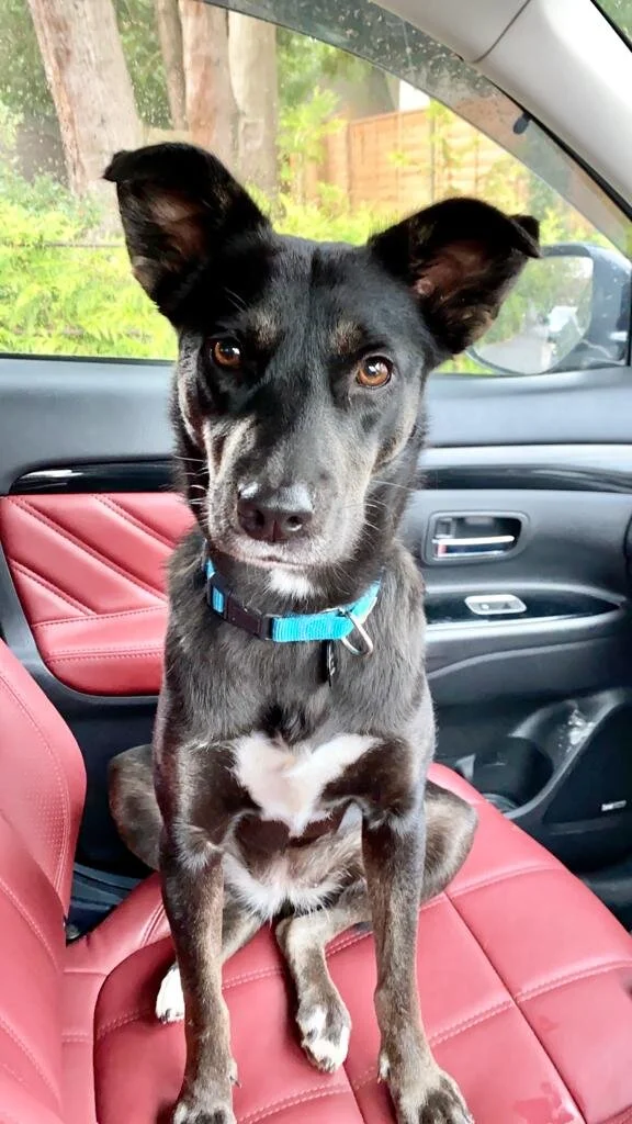 7E8DD820-A82A-4FC9-BED9-6ECD3B07BD11