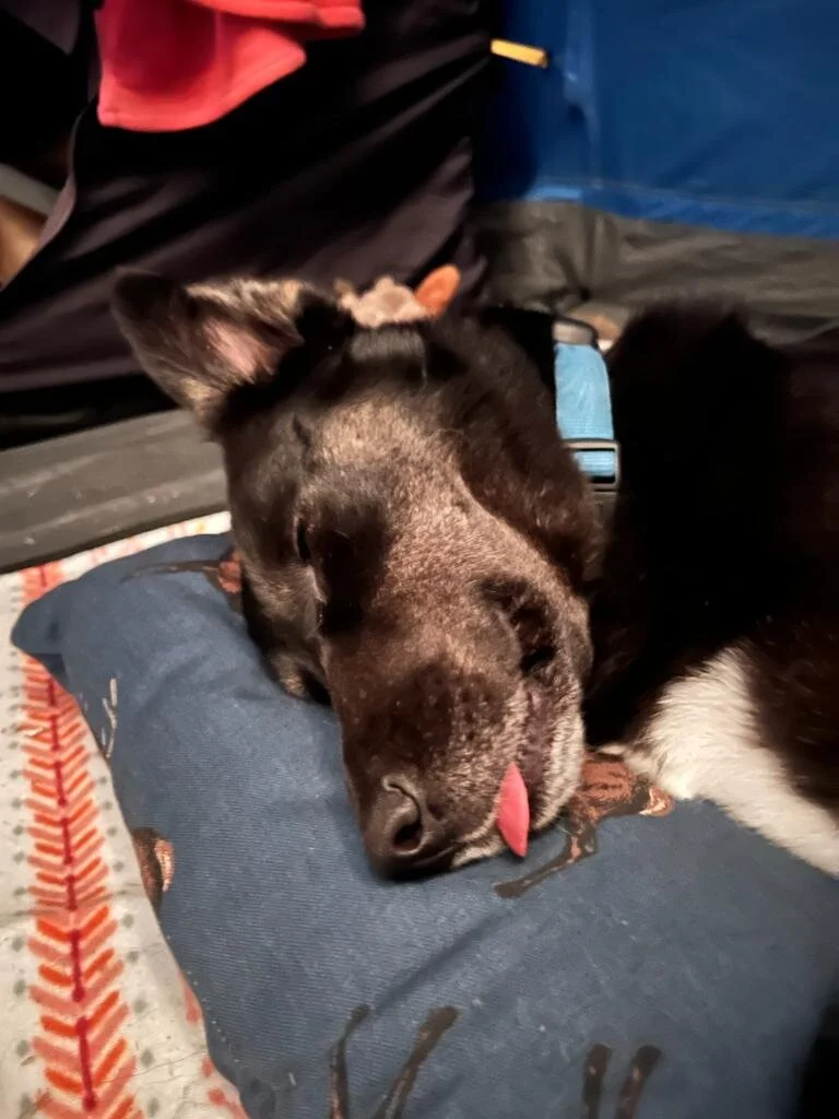 43478F17-2056-4B7C-BEEB-E04A3CE49A0E