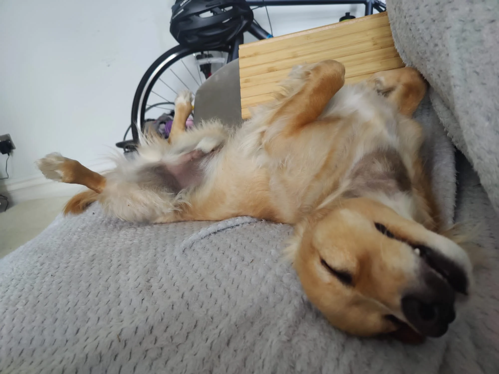 39C0956C-FB03-438F-A306-CD865D374221