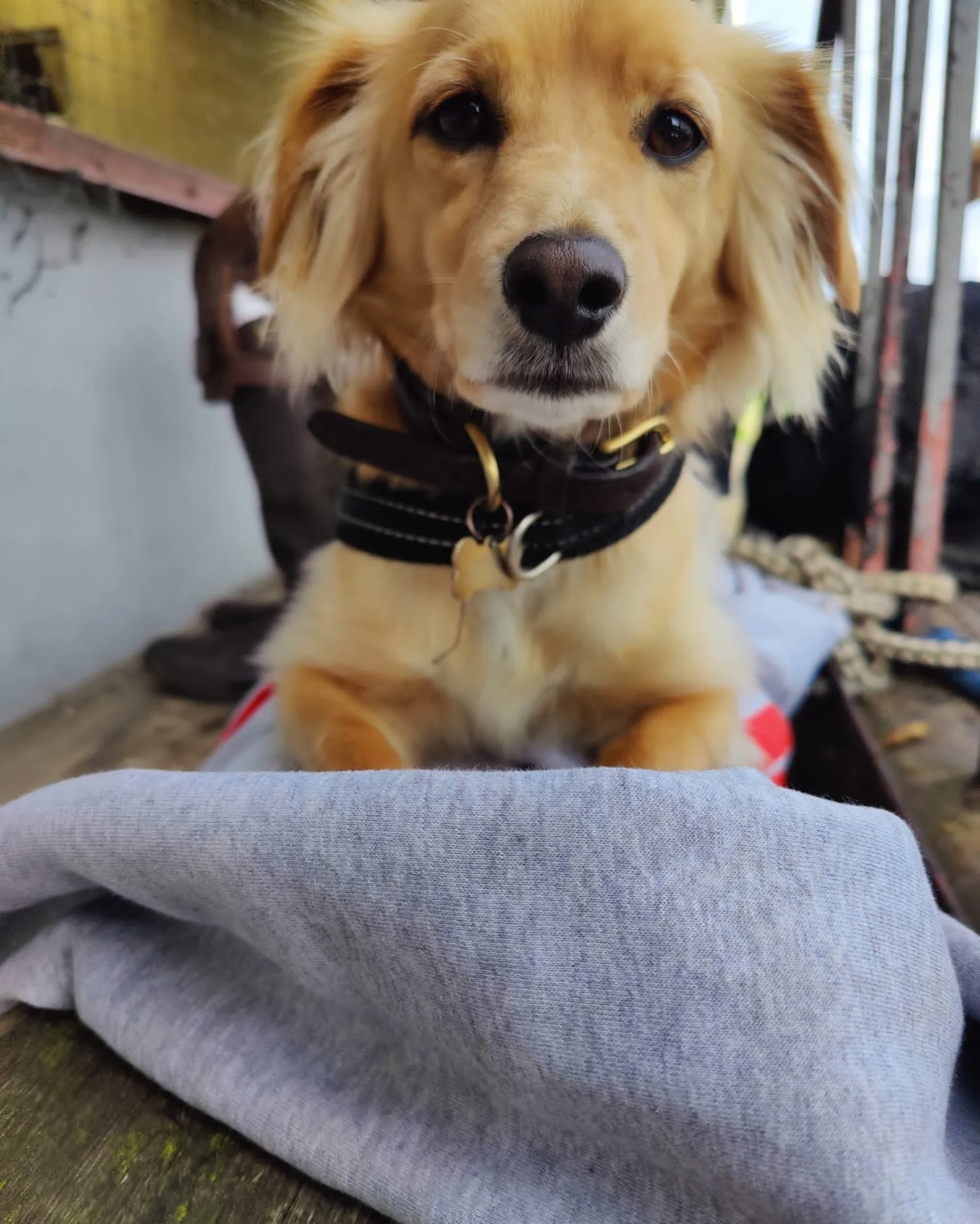 6FD851BD-7F2A-4166-9396-C1CDC75D4A5E