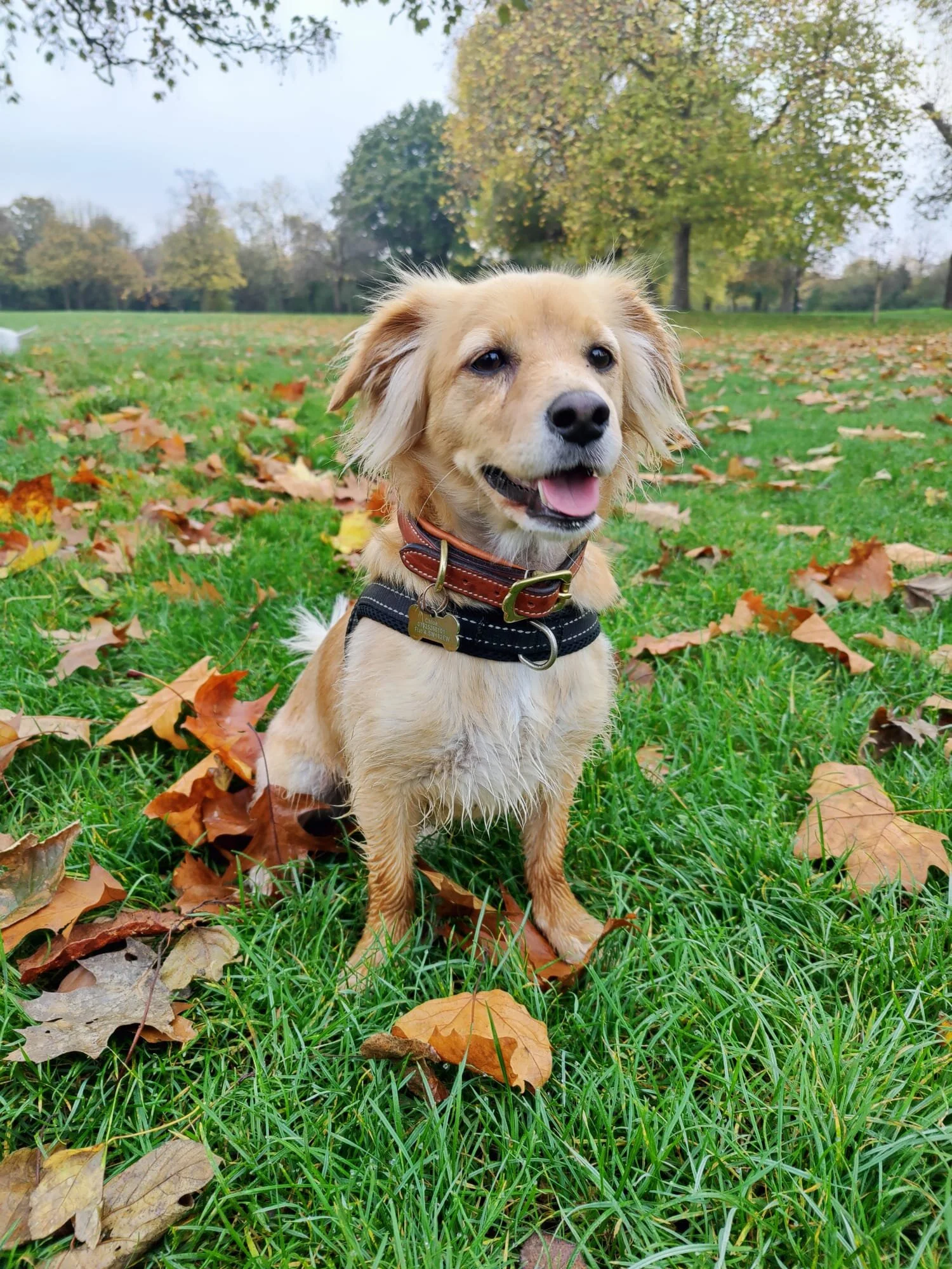 3685B927-E795-4357-9DFF-DC35AC653617