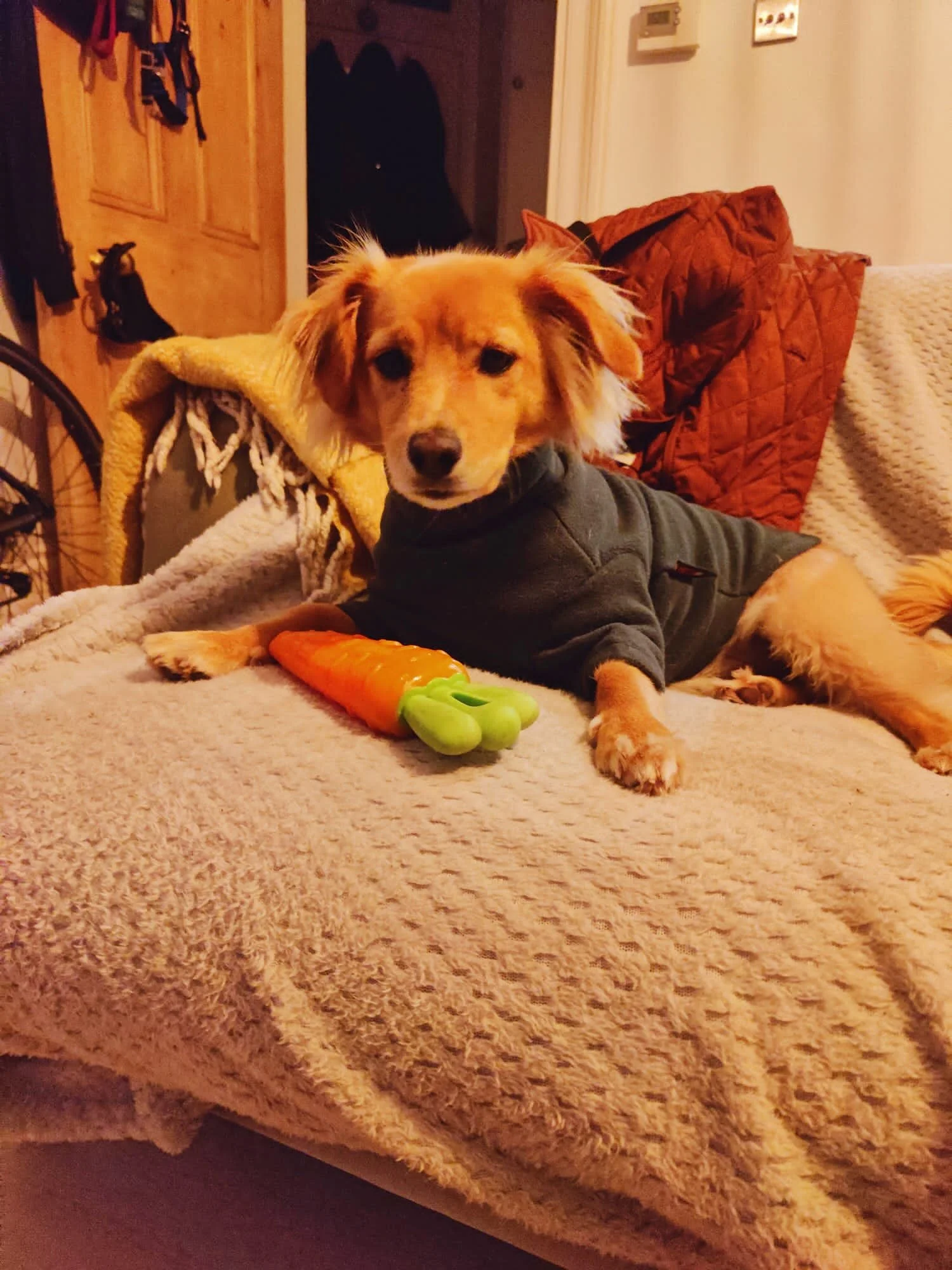 594B5EDC-E892-45BE-9D1F-63A743AA03FF