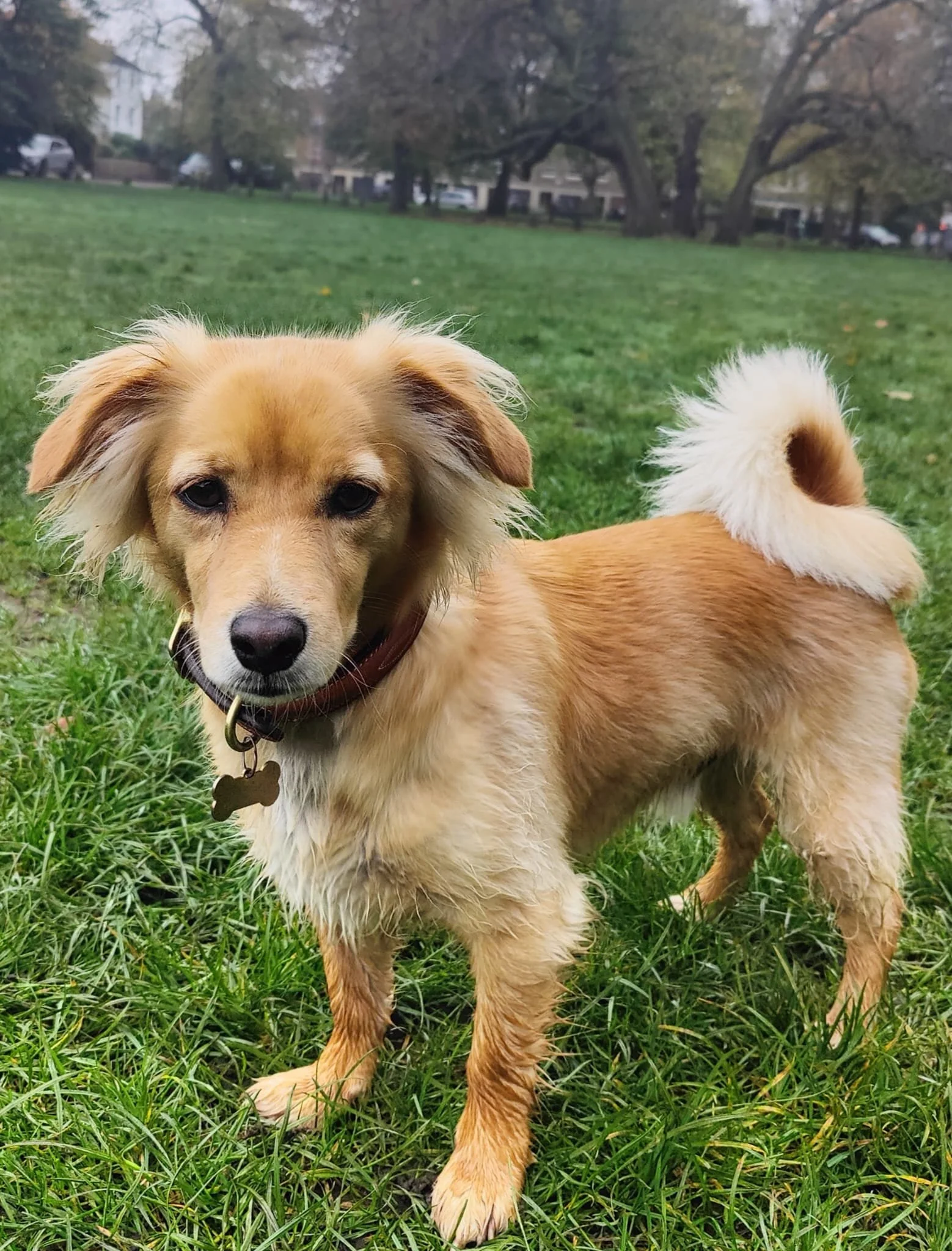 2ACED607-75E4-4EAF-B75C-4B2B700B8C64