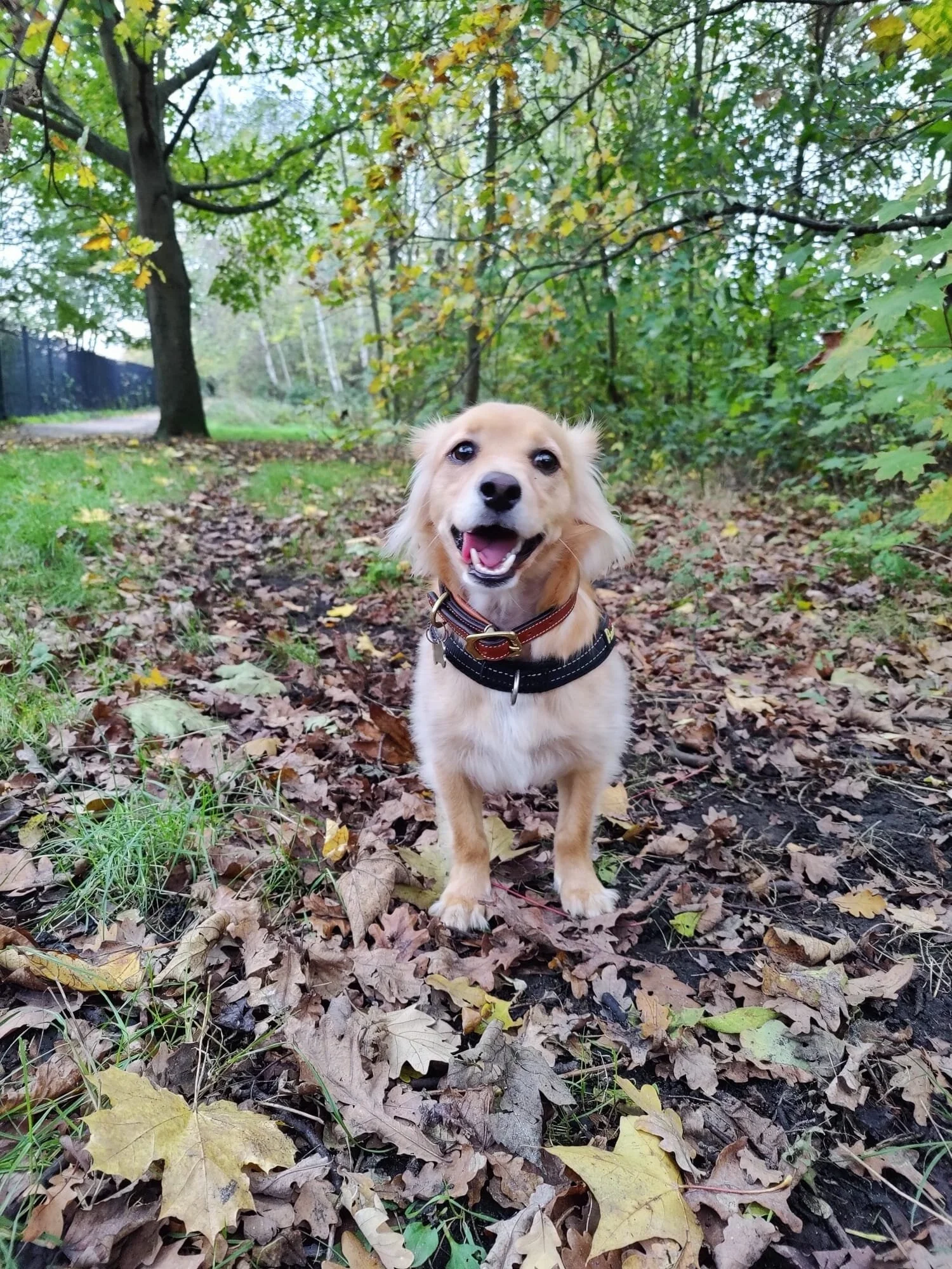 E7CF4020-44F3-41A8-ACC3-42A845B53CD7