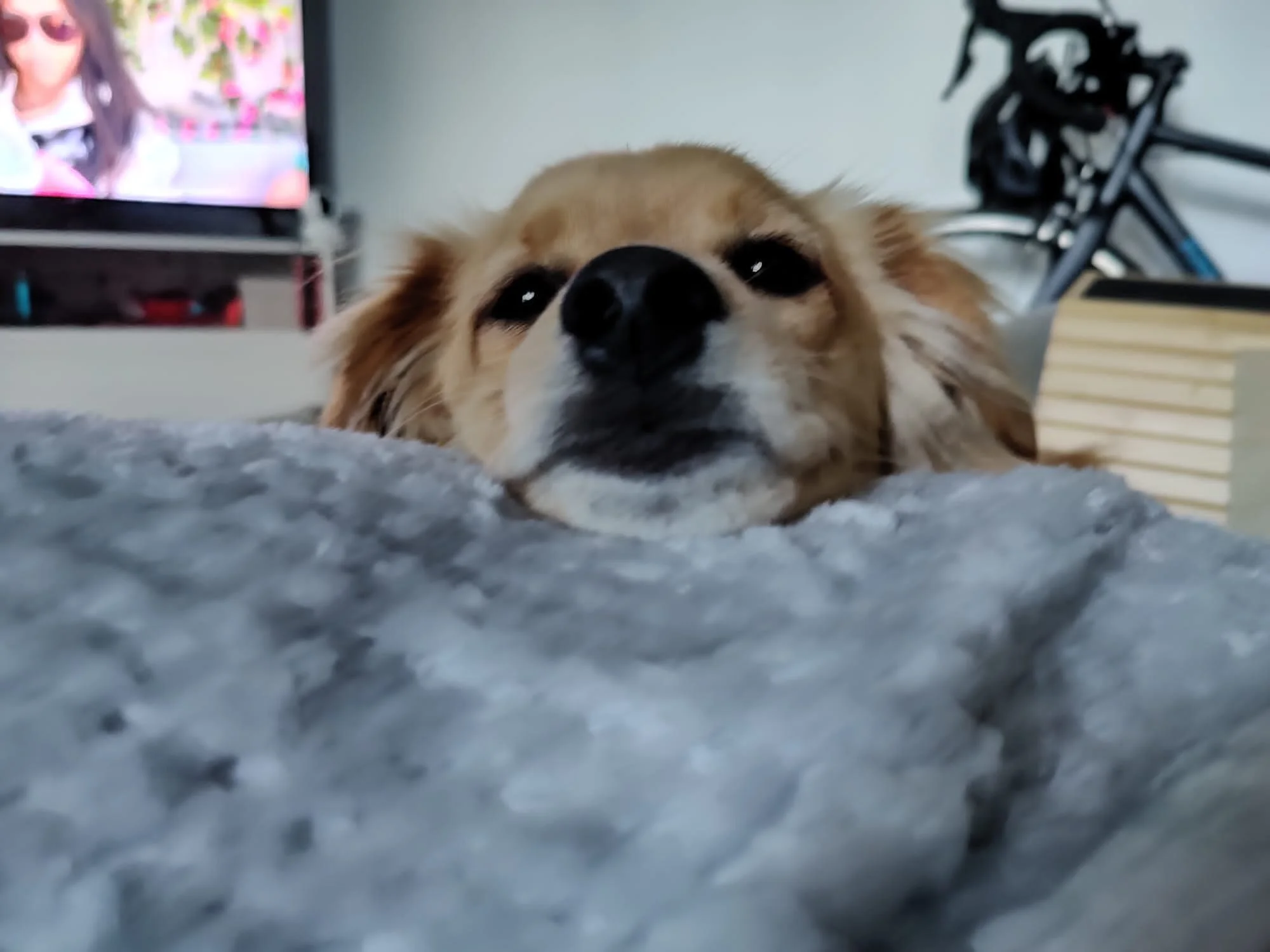 5D718691-C8AA-4C2A-9039-BA40409F49BD