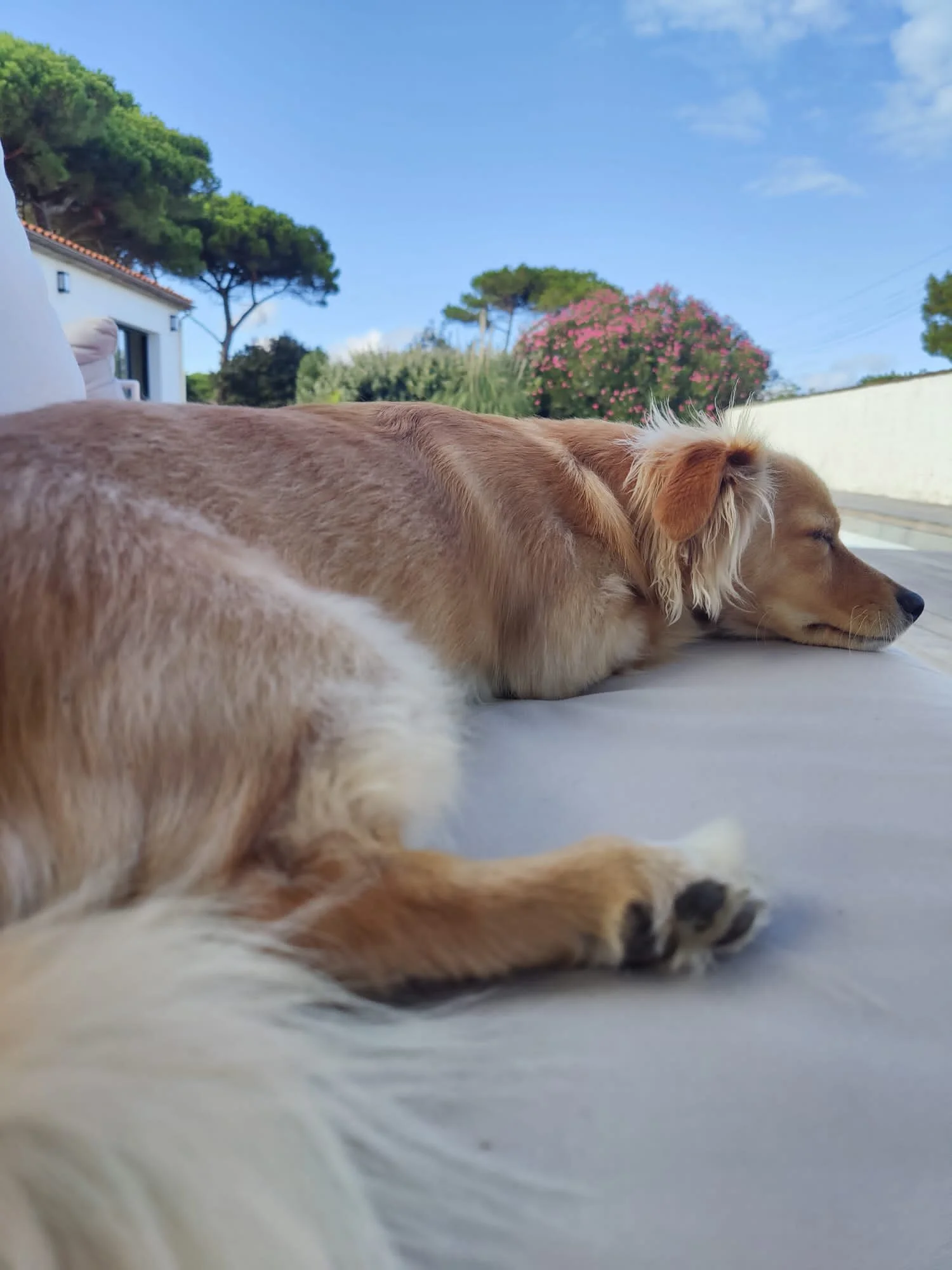 8DF327A6-8447-4790-AA66-26AC12AB6A21