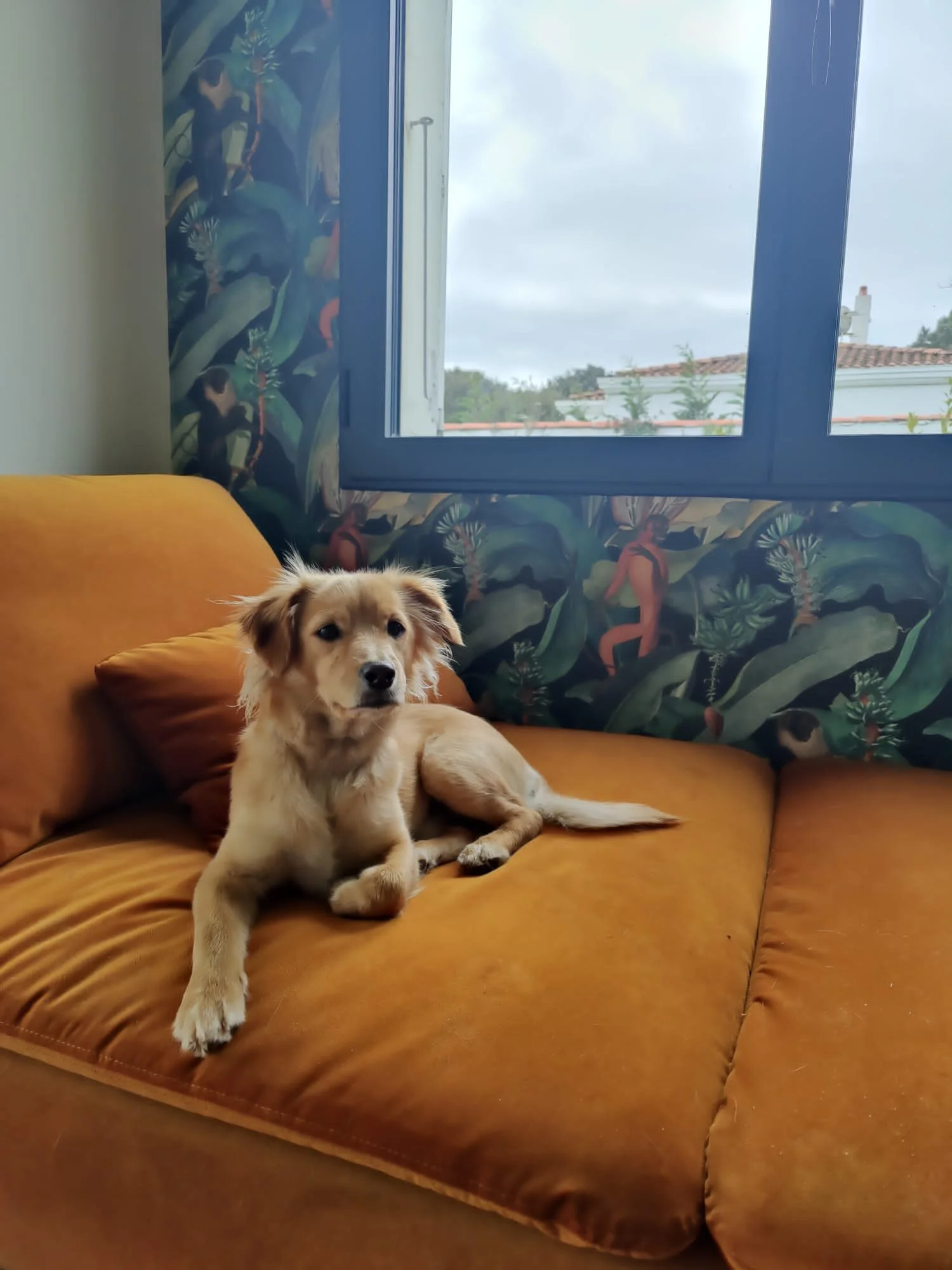 6417154C-6D55-4138-95ED-6FF126EFF1B9