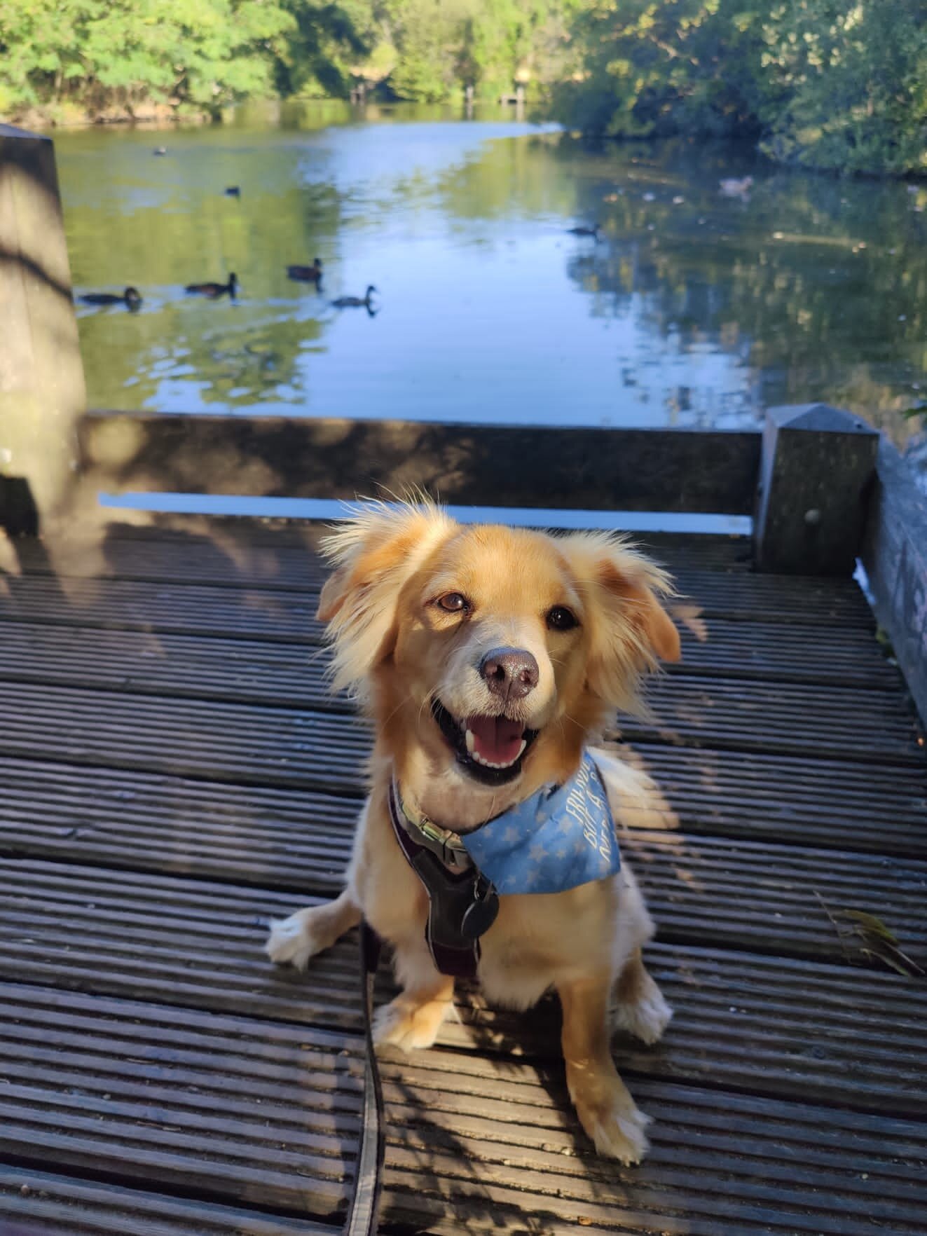 D6008AB1-0CF5-4F6D-9B0E-42798FB978FC