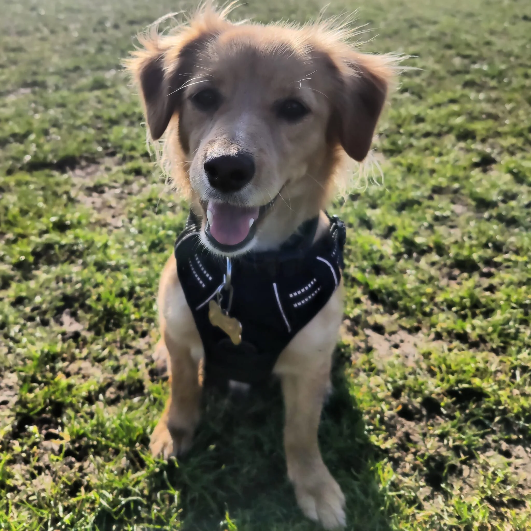 0D971D0F-540B-4151-8157-548F2BC3B0A9