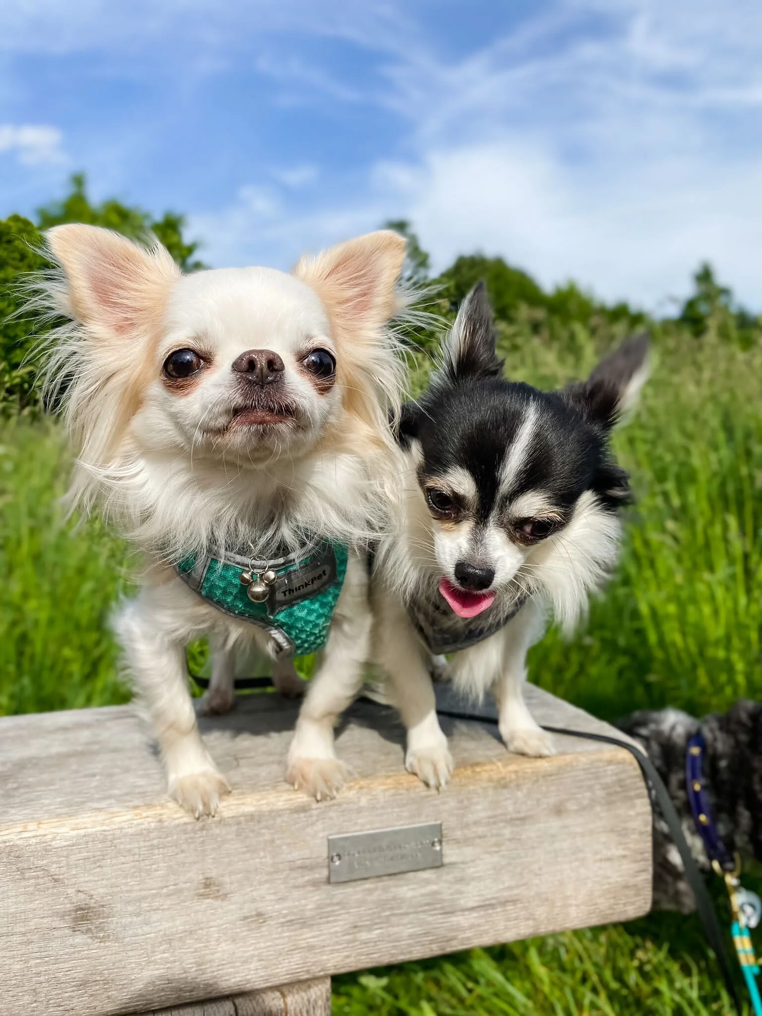 5E552964-2757-4EAA-8E69-EAE813AF09C8