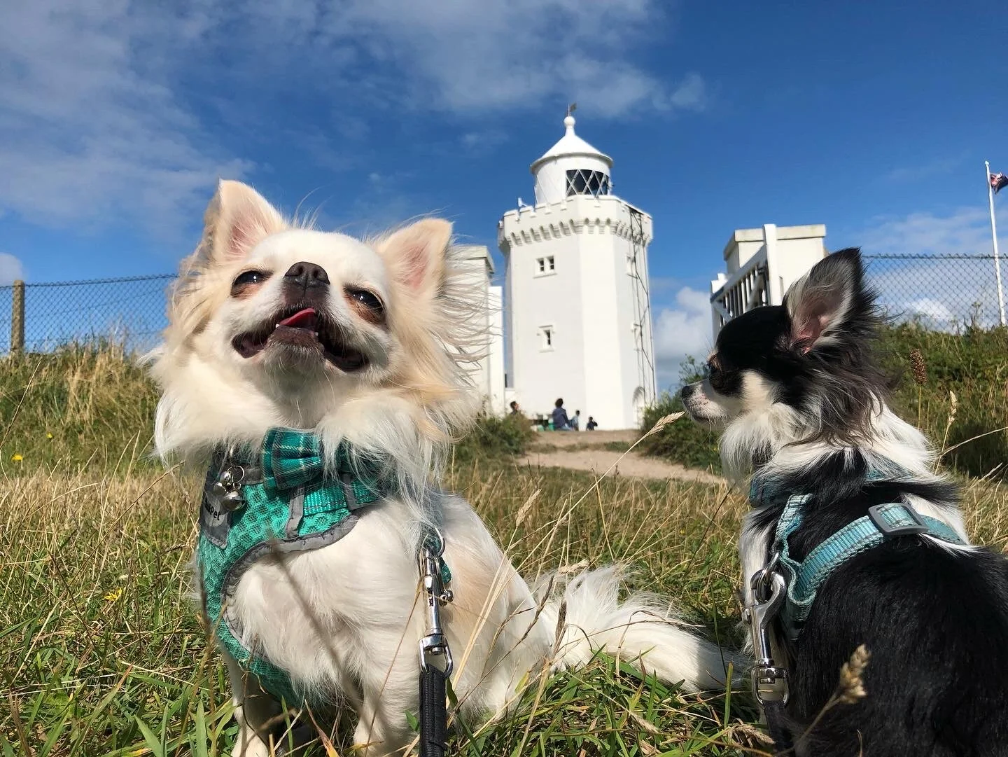 099D5A42-B41B-4B96-A1E3-A7367D30A938