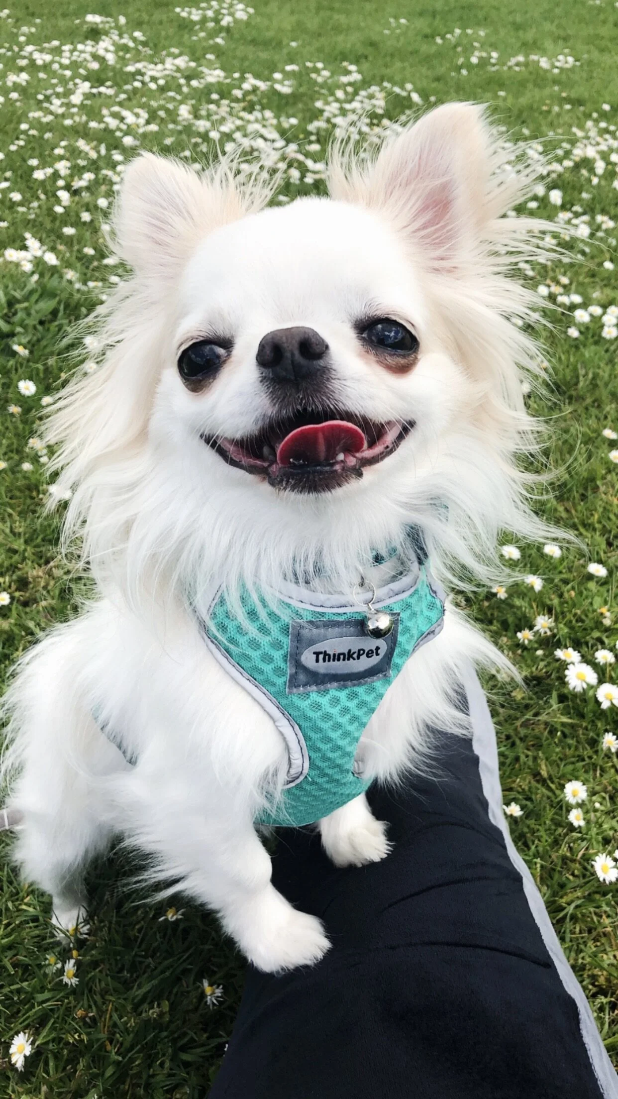 9D7F605D-ADF8-47C3-801C-614C8A98A5E8