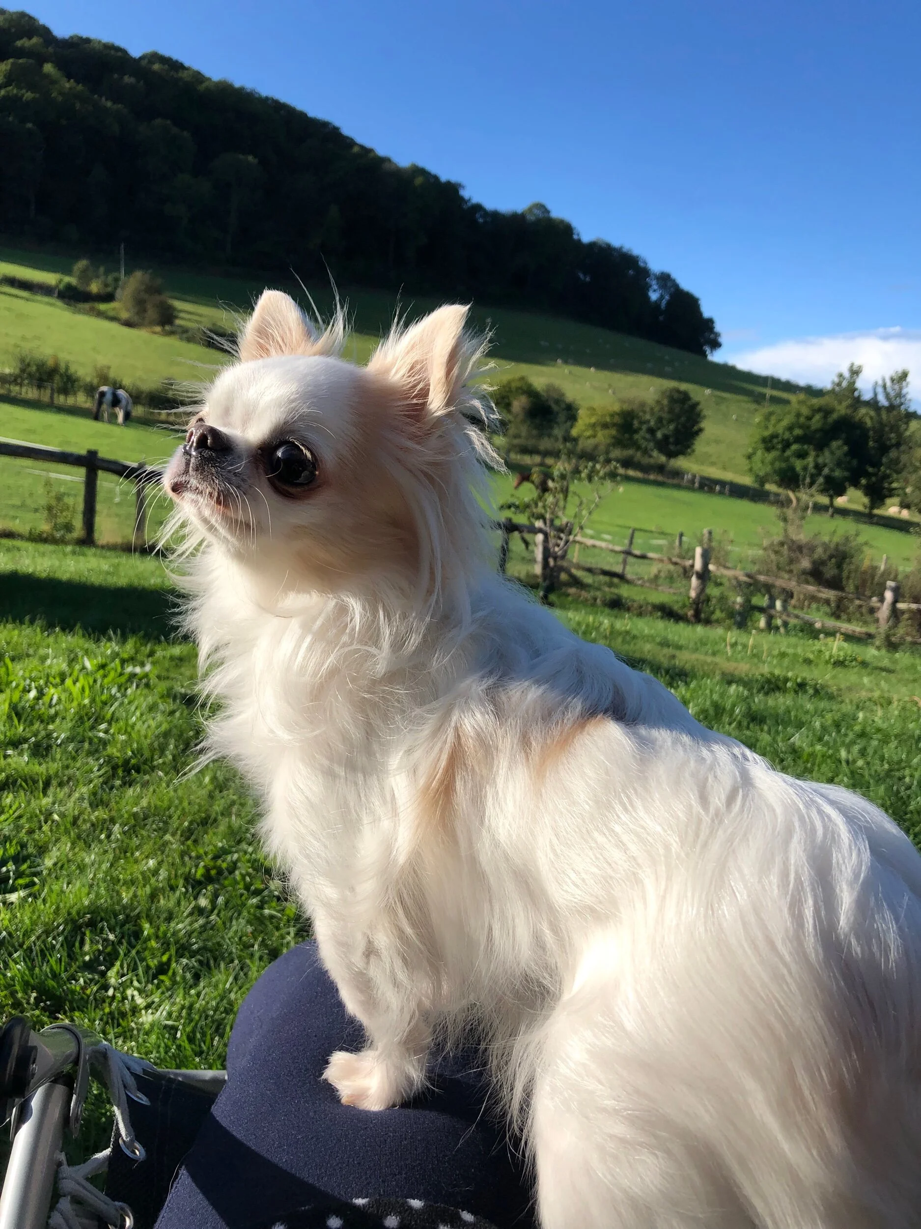 0156338F-B1DC-4B21-A798-DE82B5642A1E