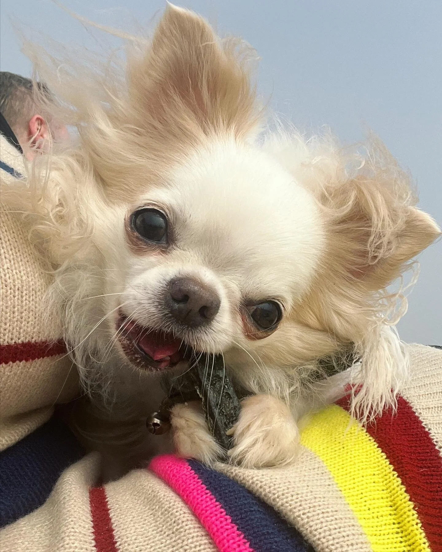 E0F51D2F-7CB1-46C8-9FFA-049268899AC2