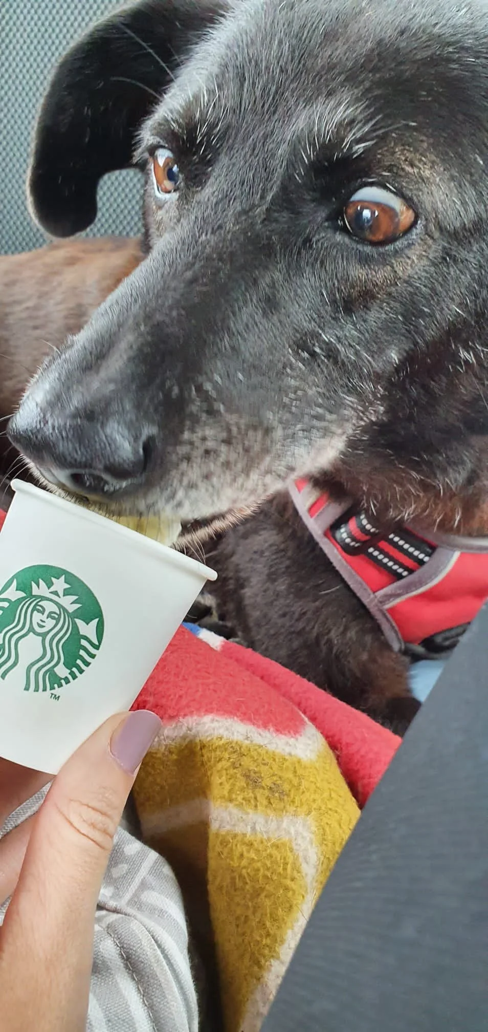 A51EABD7-D0F5-41CB-A872-B7873B32D90E