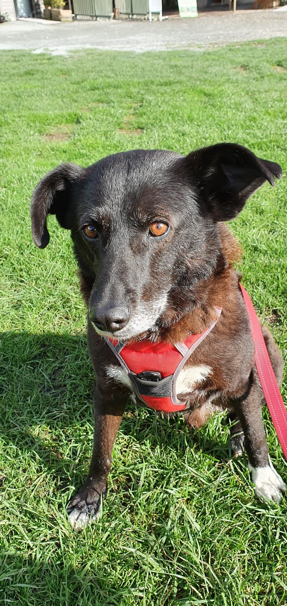 3AF8CE1D-6775-4D9B-86FA-9D2EC75D8C10