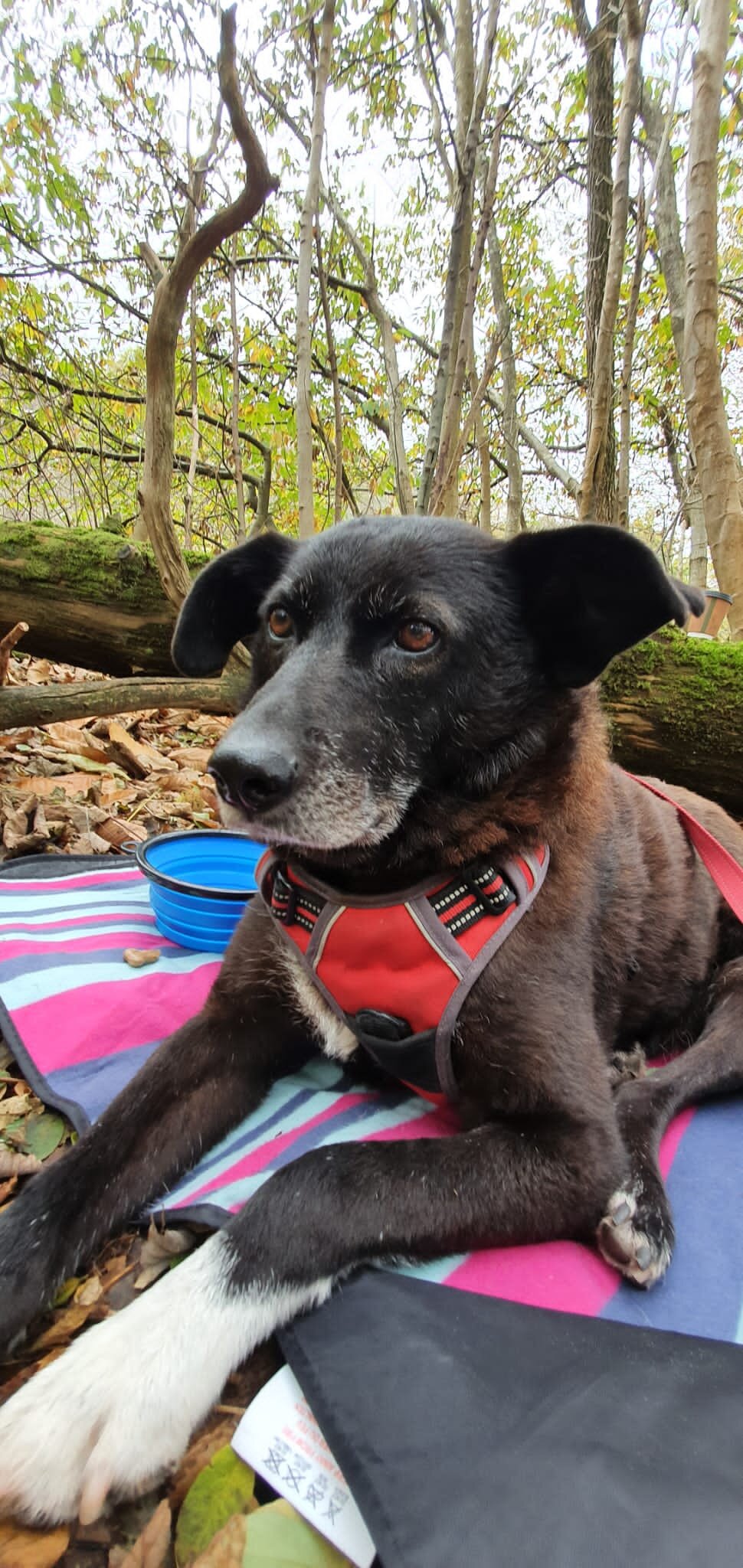 8FB8C33A-8897-4679-8BEE-FC3D3498D436