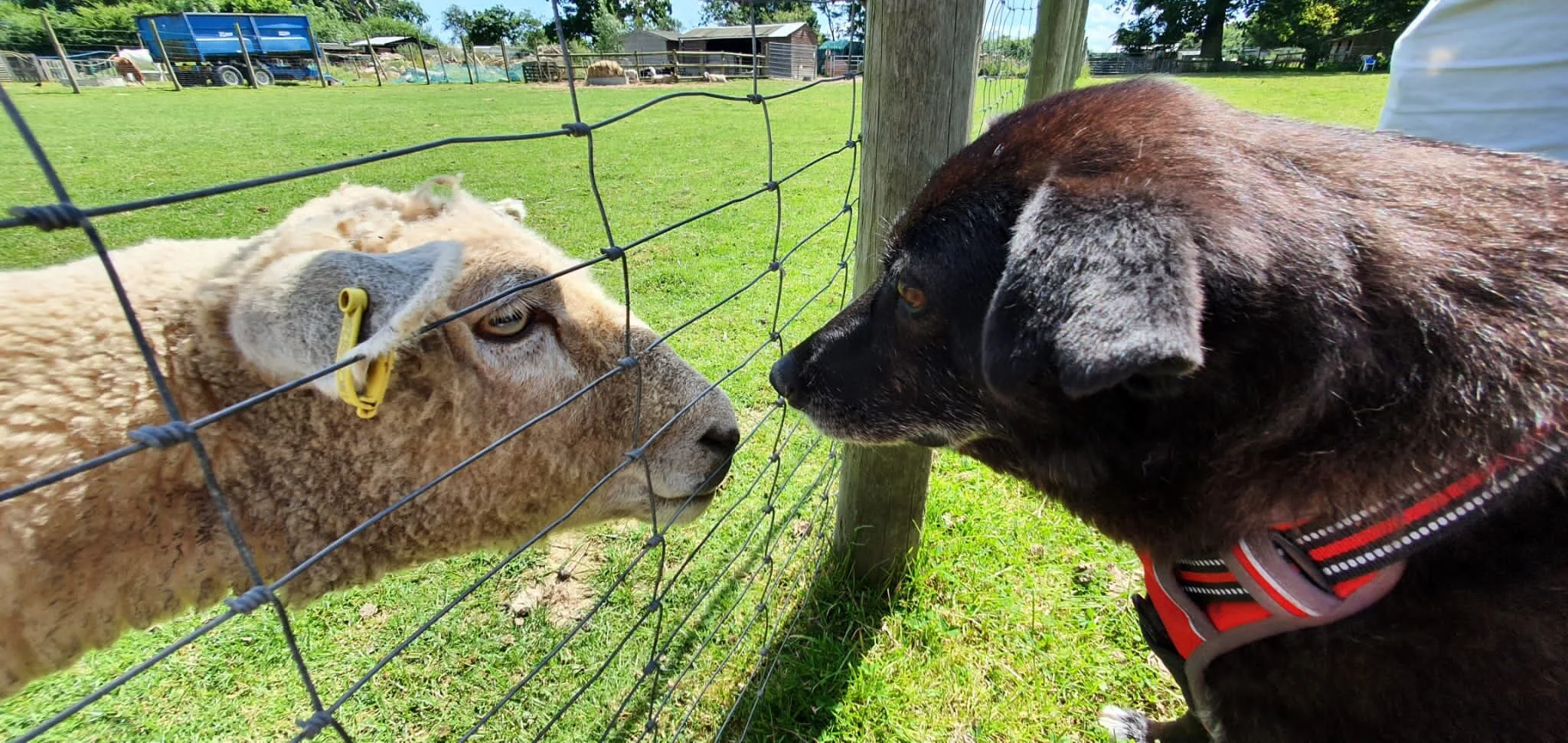 FB3FCE43-FC20-408F-840C-3686411C6F98