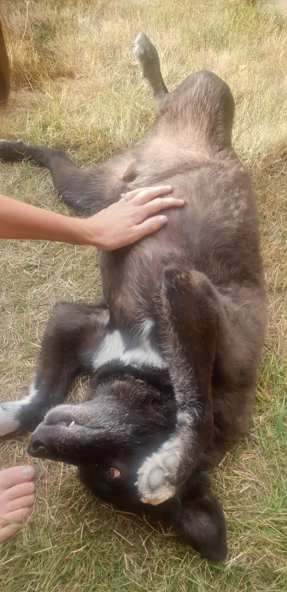 A82872A2-4345-482F-A7CB-DB63A5D081CB