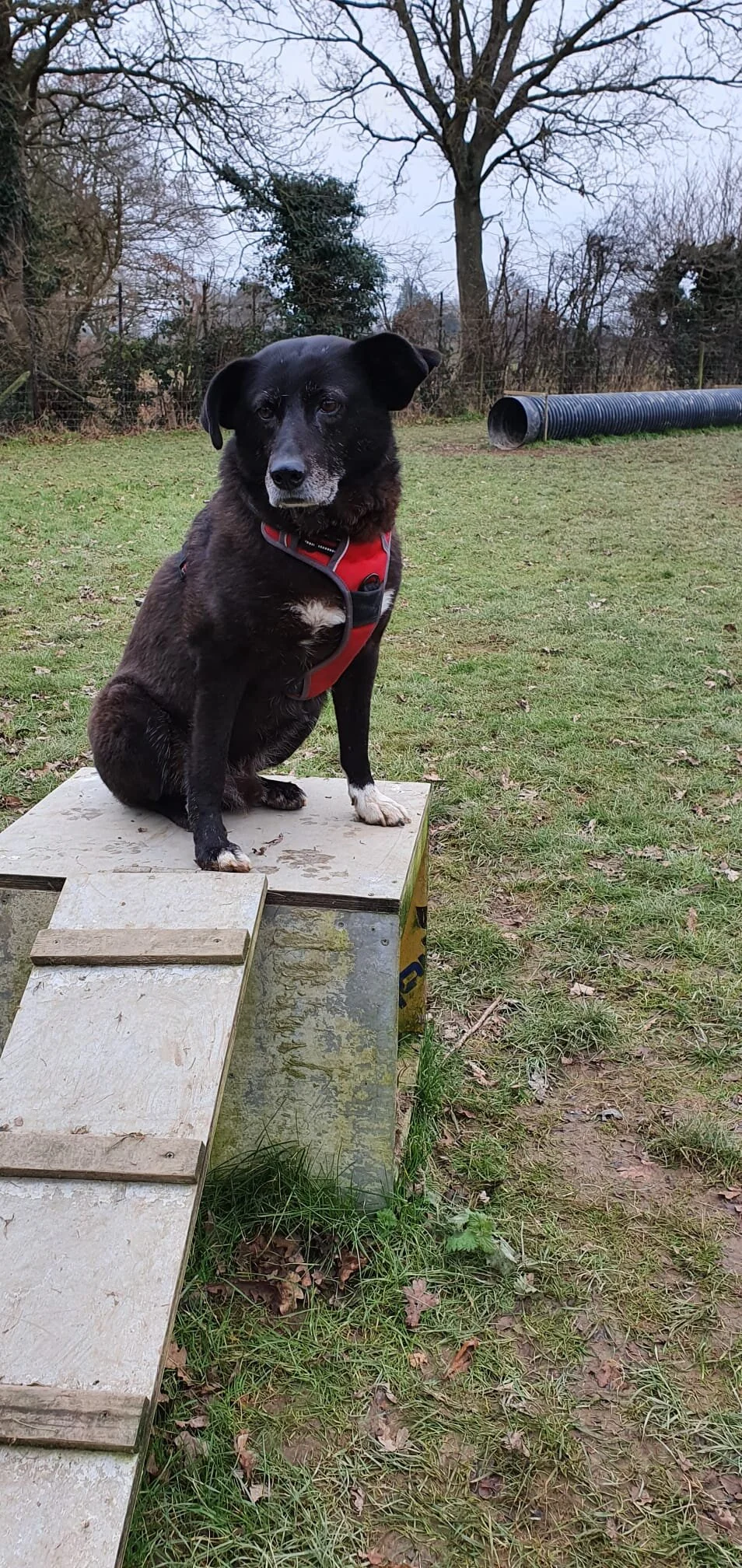 7AAD3DF3-34B8-4E9E-AFD0-9327A9451CFB