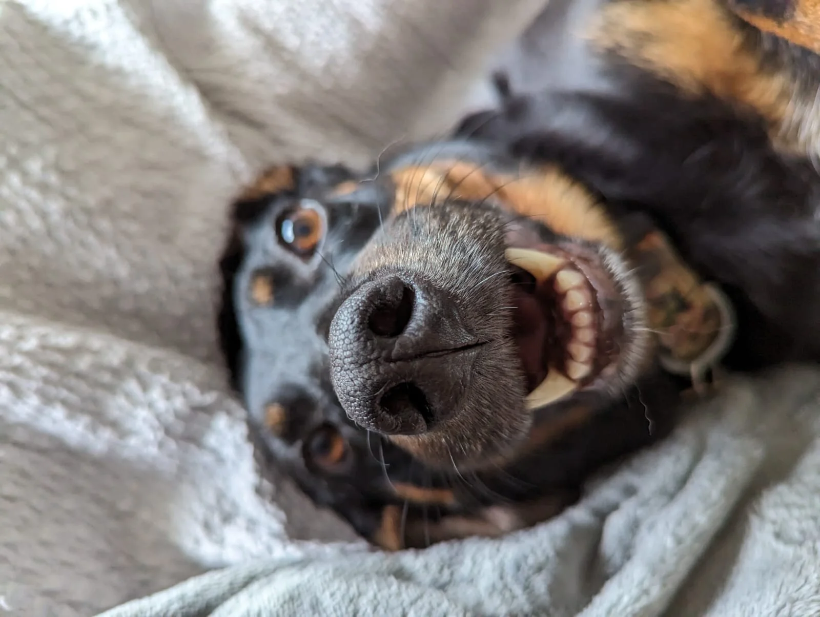 3782ED6D-3248-44F0-8D05-3CBC159CDF8B