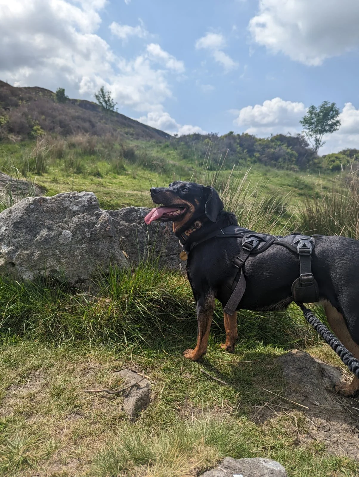 D7A96C05-C258-49AB-97C7-D8C971FA79F8