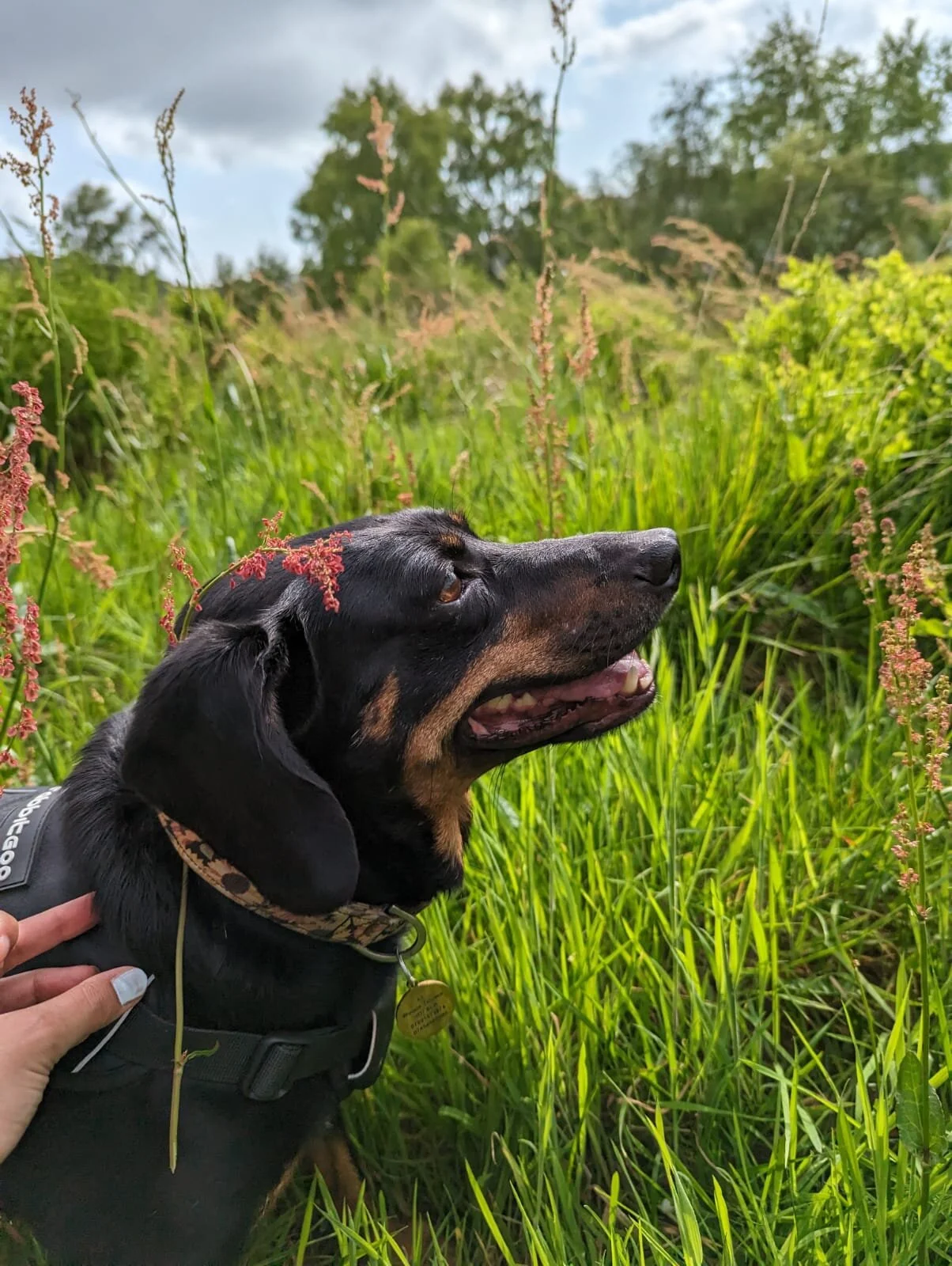 7053560C-2951-43E1-8445-4F626B99F9ED