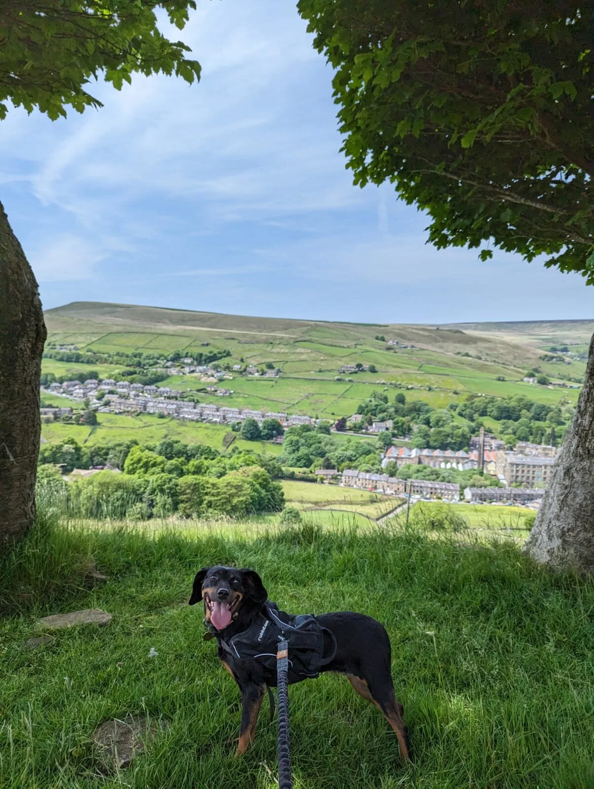 7FCBC27F-BB15-4F91-BEB7-F03123909098