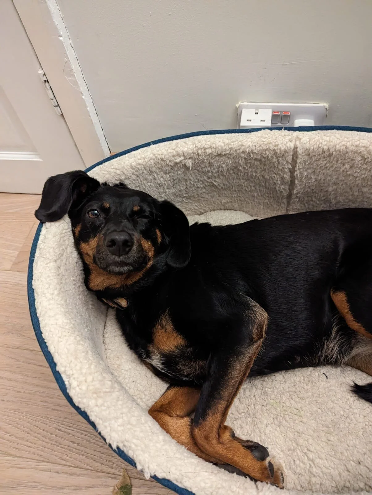 0FF72320-11E9-406B-94F3-9F2341BAE0FF