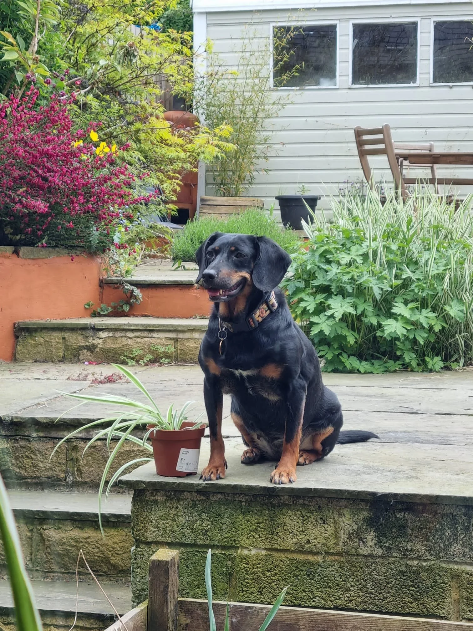 08333E40-50D1-4D87-AF44-13E6F41C4D96