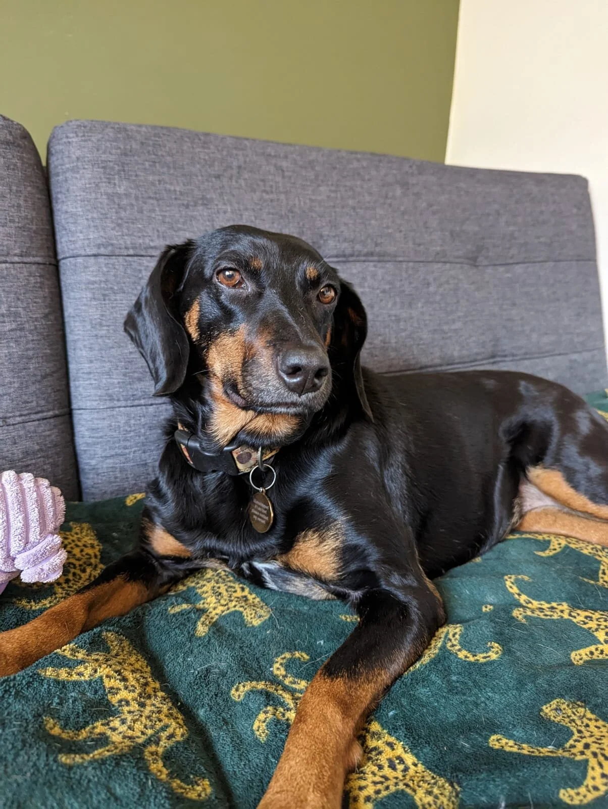 229C695B-13B8-414A-A94F-4E08B12F0F4A